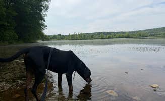 Mike M.'s photo of camping with pets at Quinebaug Cove Campground near Uxbridge, MA