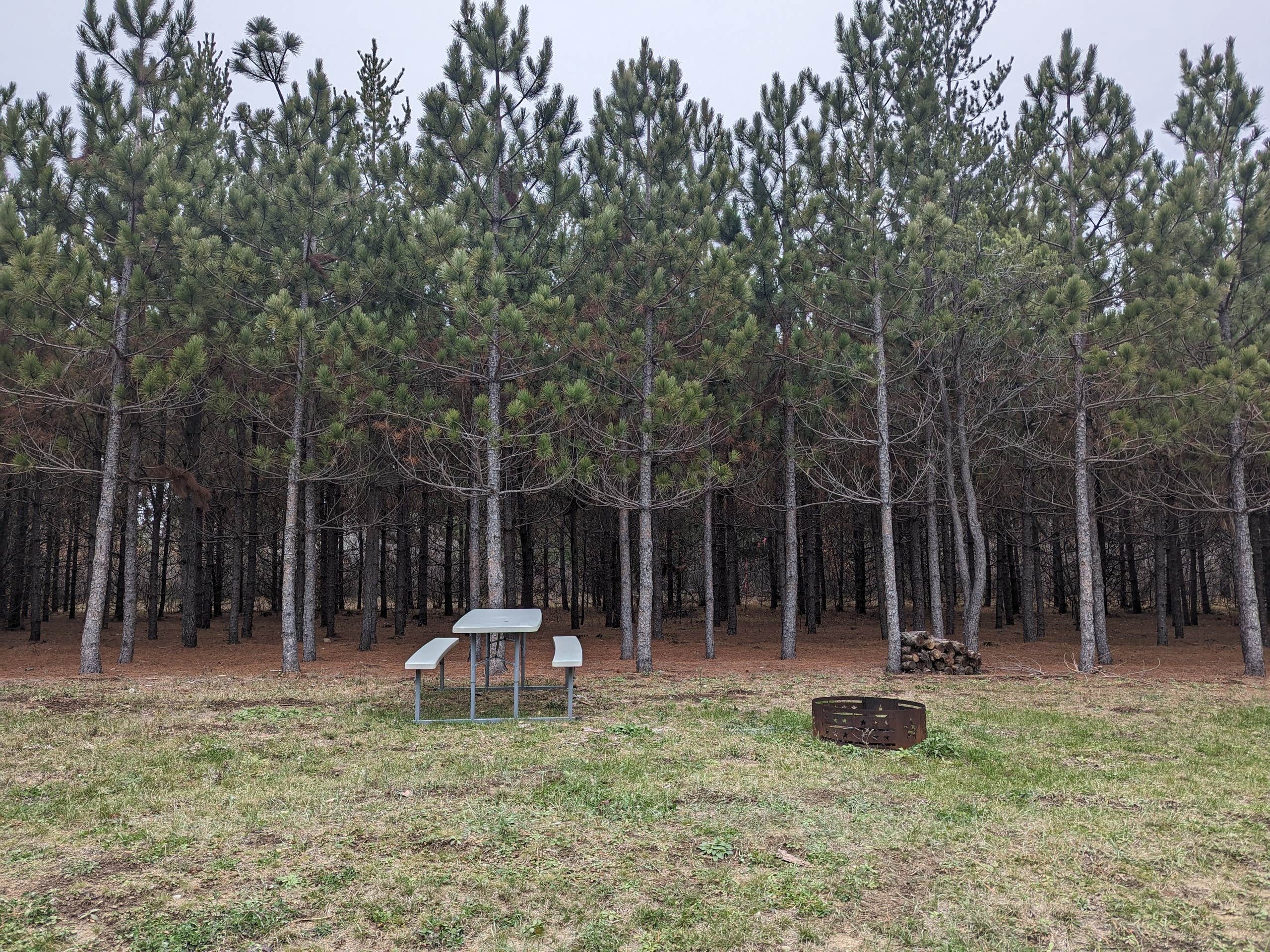 Camper-submitted photo at RV There Yet Campground near Wadena, MN