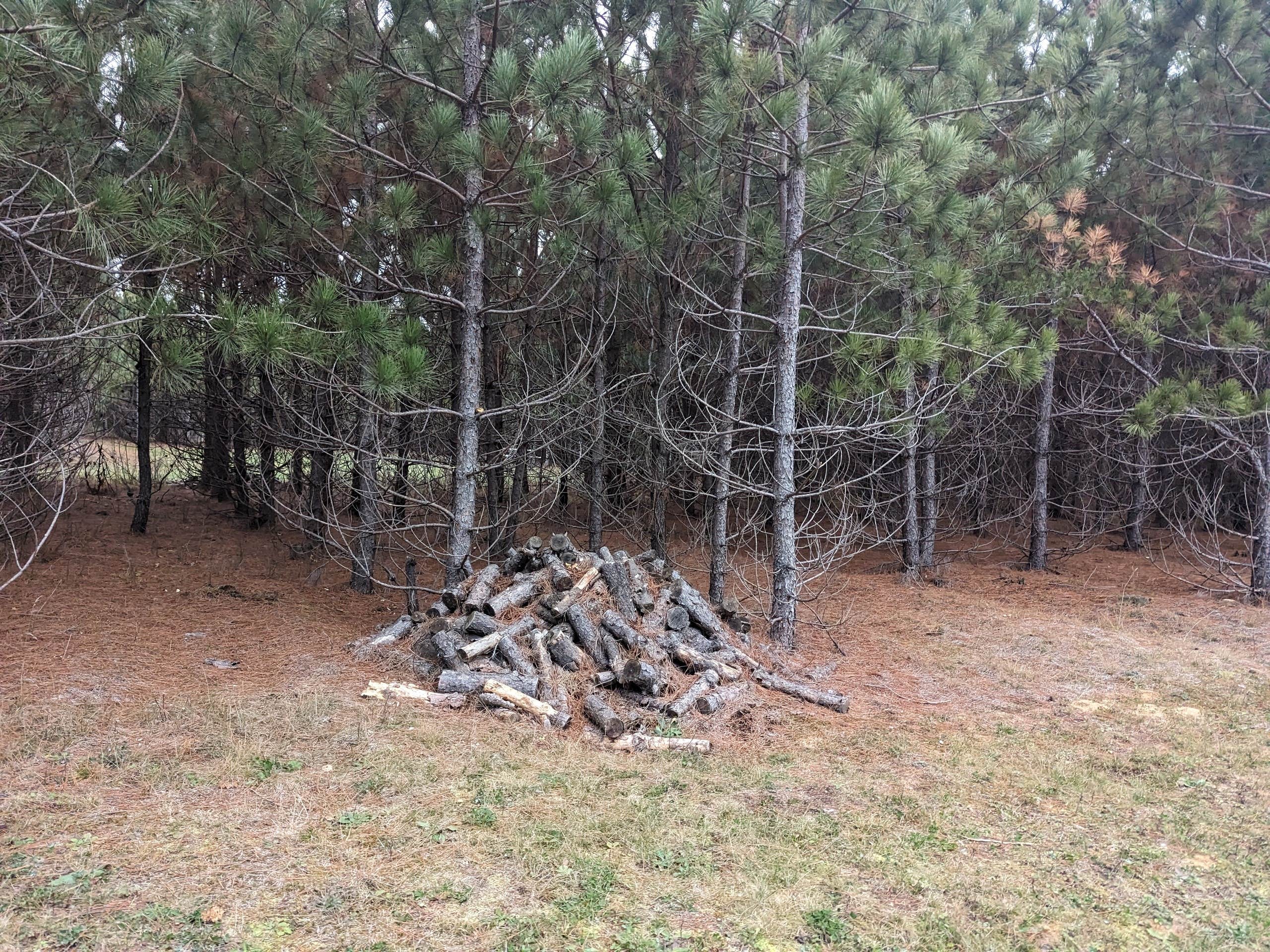 Camper-submitted photo at RV There Yet Campground near Wadena, MN