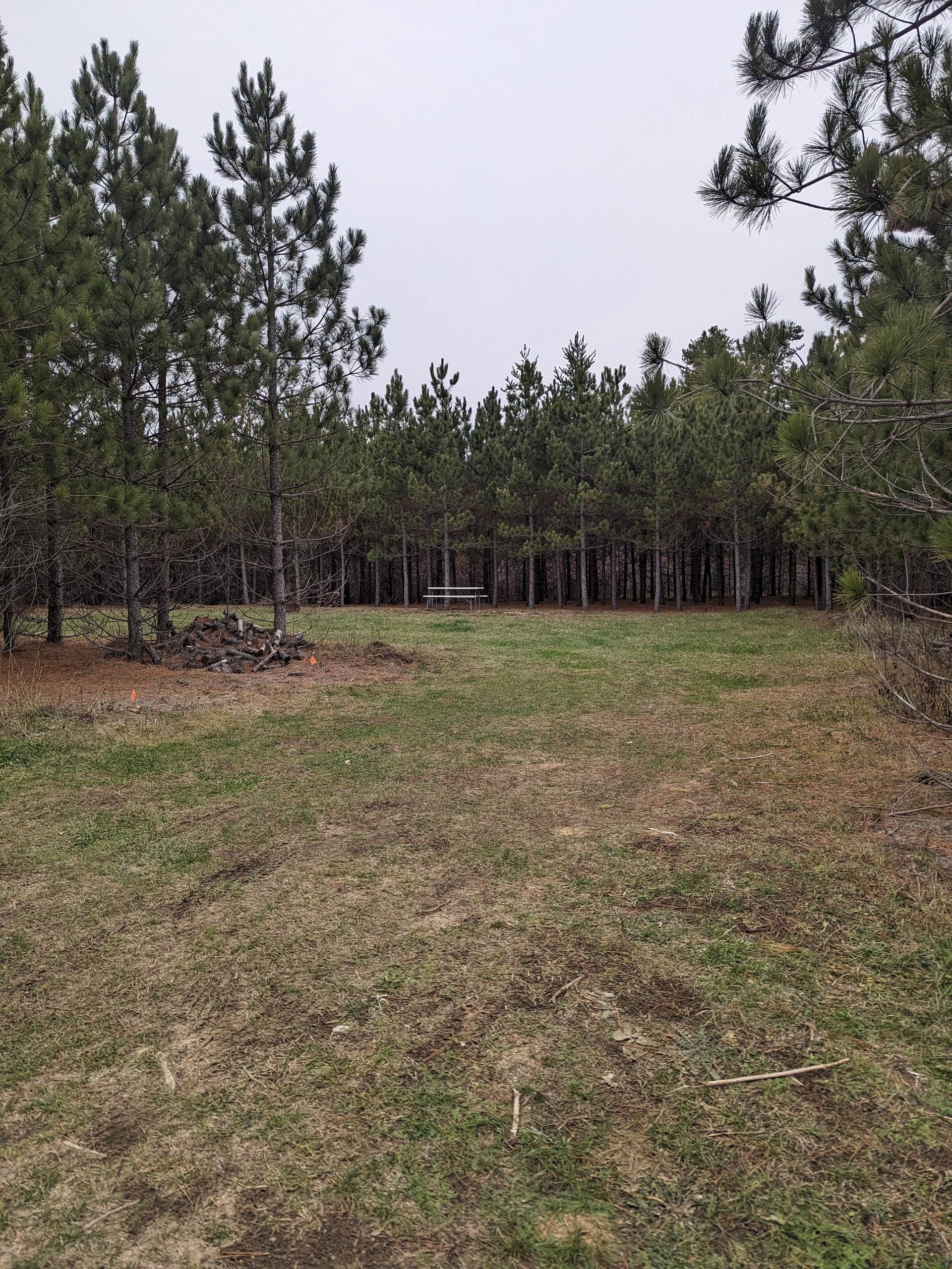 Camping near Quietwoods Campground & Resort: RV There Yet Campground, Akeley, Minnesota