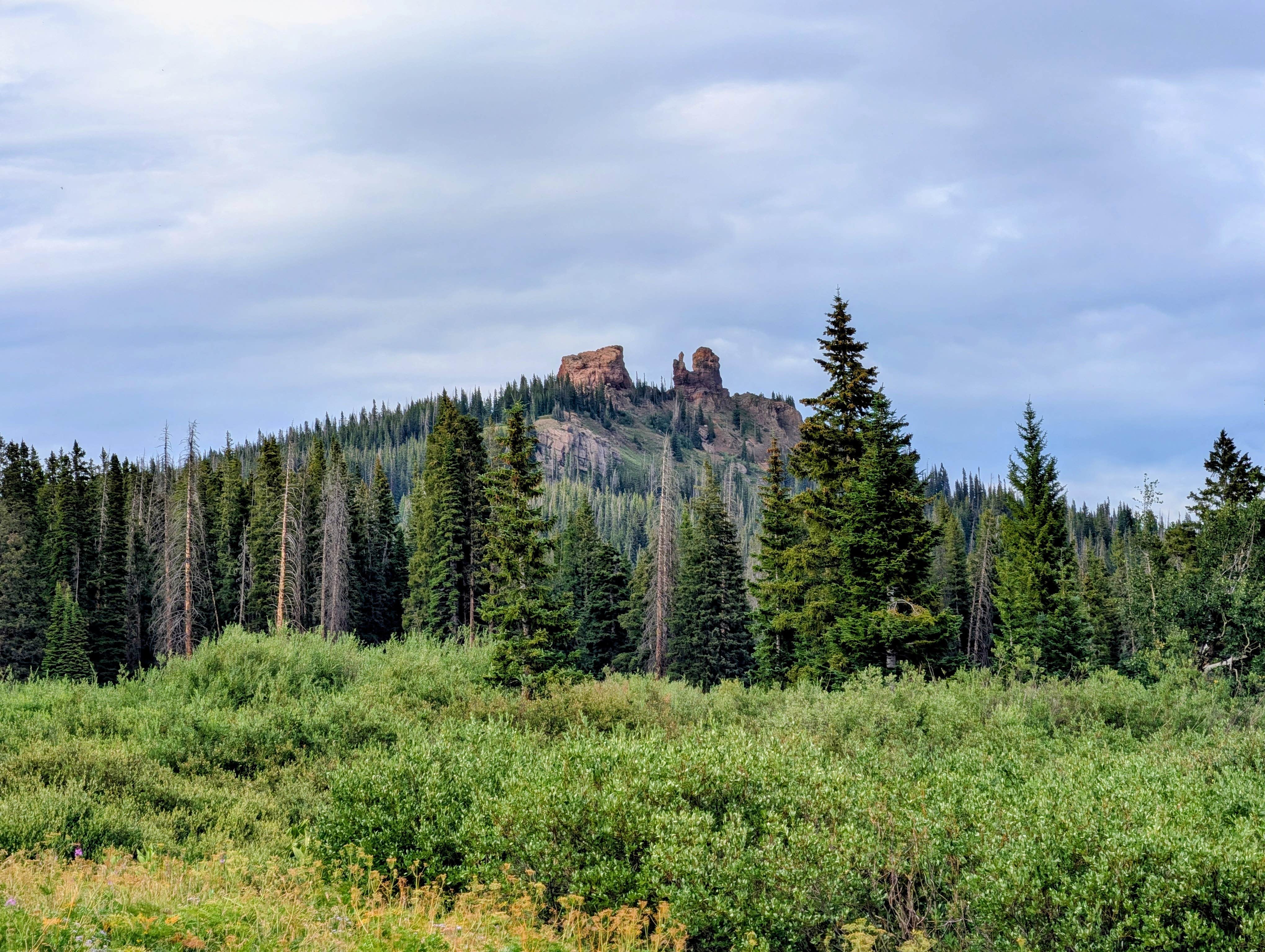 Camping near Pleasant Valley Roadside Camp on Hwy 40: Rabbit Ears Peak Road, Steamboat Springs, Colorado