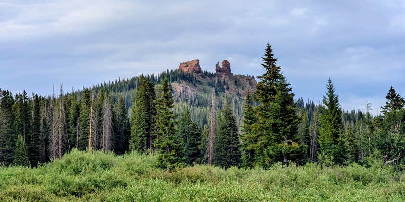 Camper submitted image from Rabbit Ears Peak Road