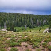 Review photo of Rabbit's Ear Pass East Summit FR 251 by Lydia N., February 3, 2025