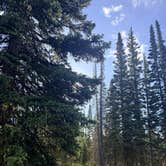 Review photo of Rabbit's Ear Pass East Summit FR 251 by Rob S., September 14, 2026