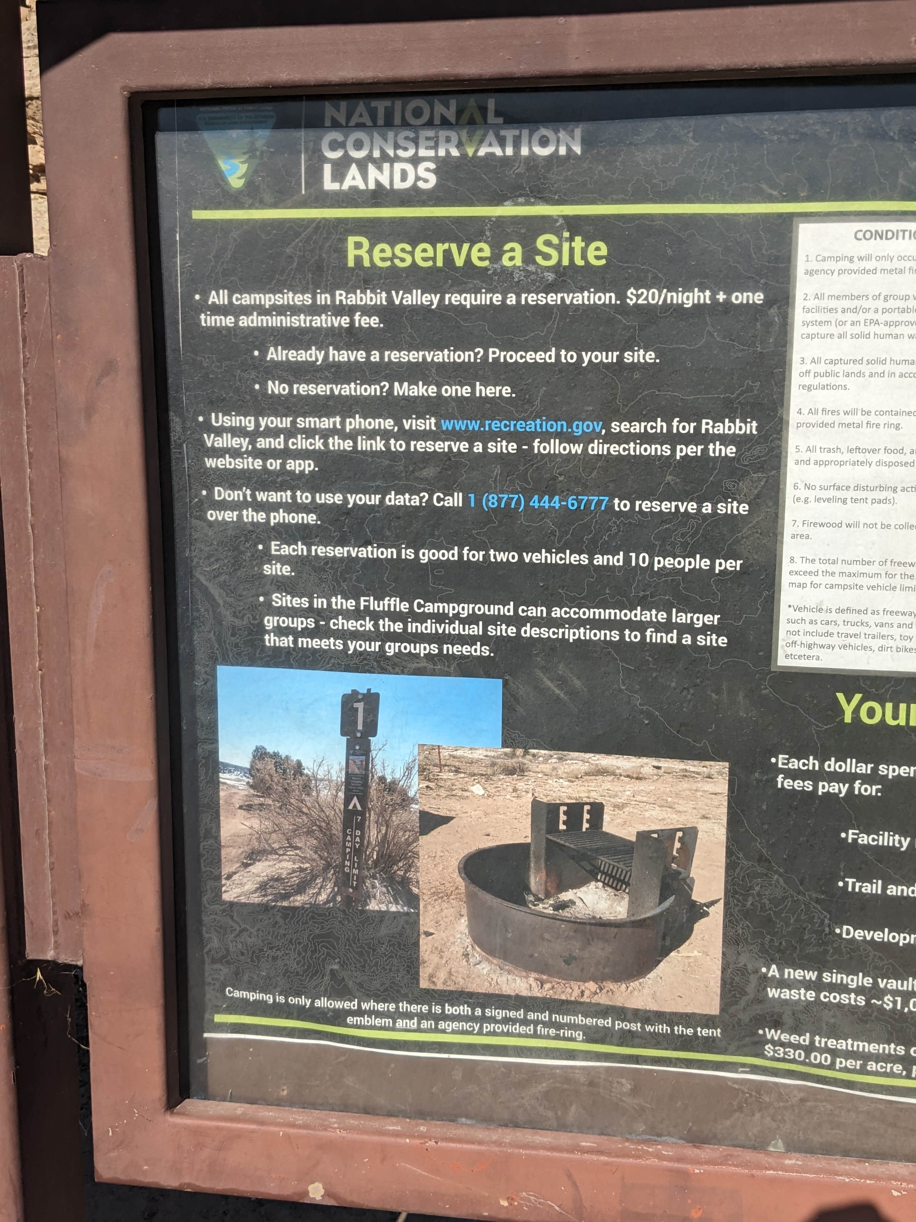 Camper submitted image from Fluffle Group Use Campground and Satellite sites - 4