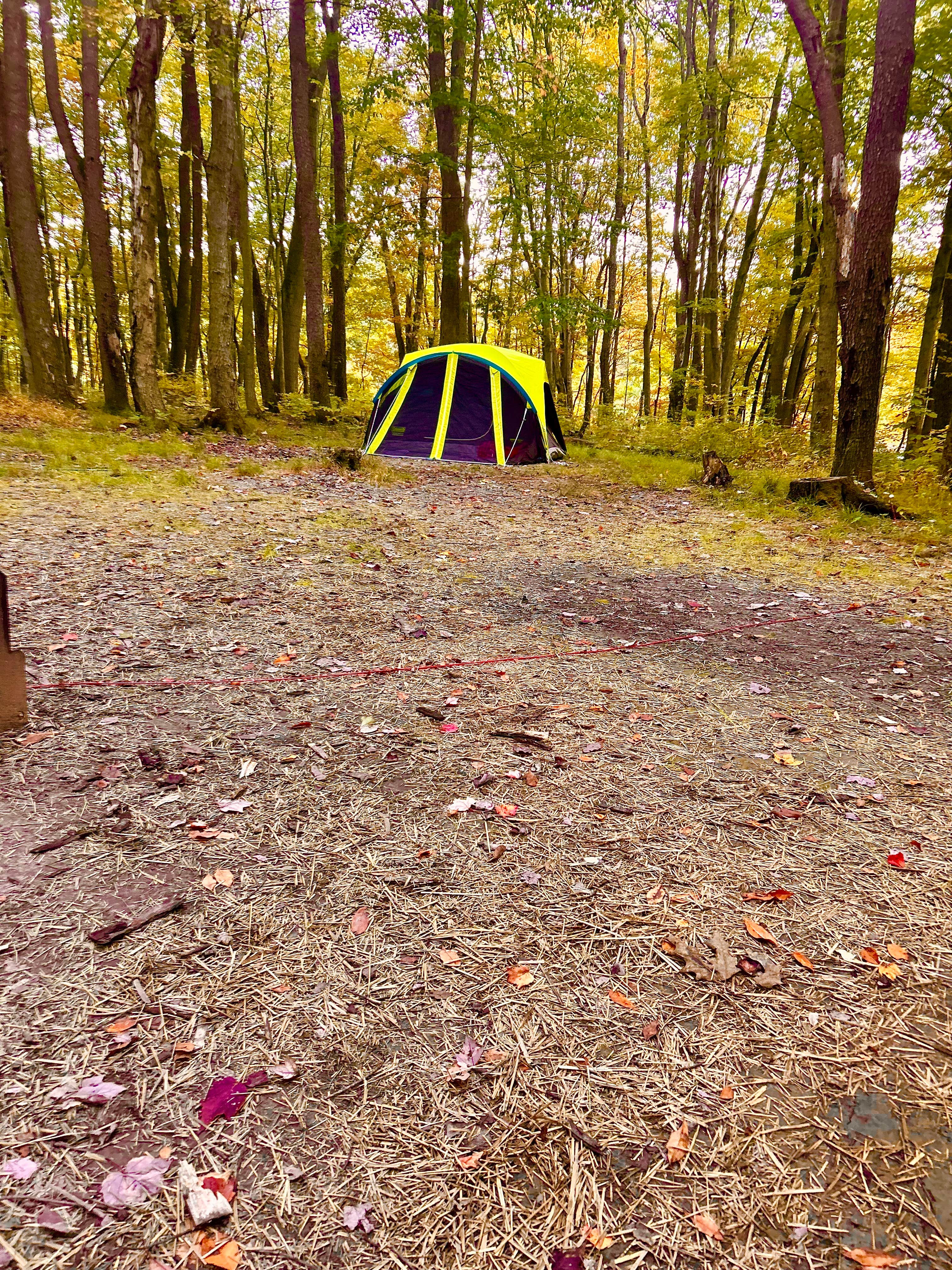 Sienna L.'s photo at Raccoon Creek State Park Campground near Carnegie, PA