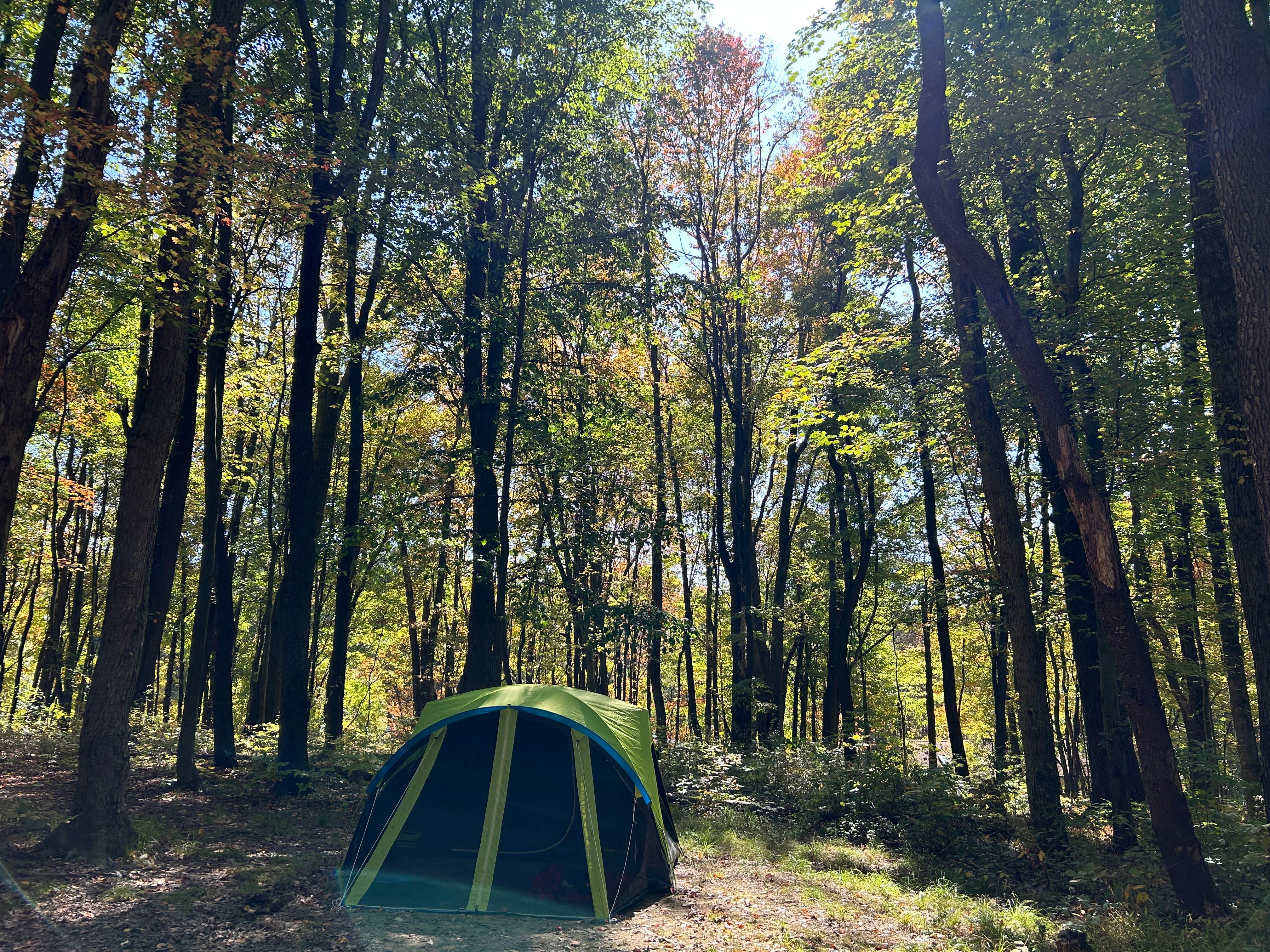 Sienna L.'s photo at Raccoon Creek State Park Campground near Bloomingdale, OH