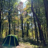 Review photo of Raccoon Creek State Park Campground by Sienna L., July 22, 2025