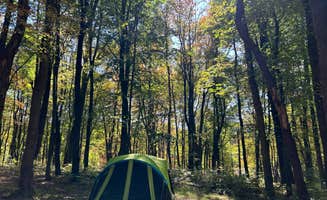 Sienna L.'s photo at Raccoon Creek State Park Campground near Rochester, PA