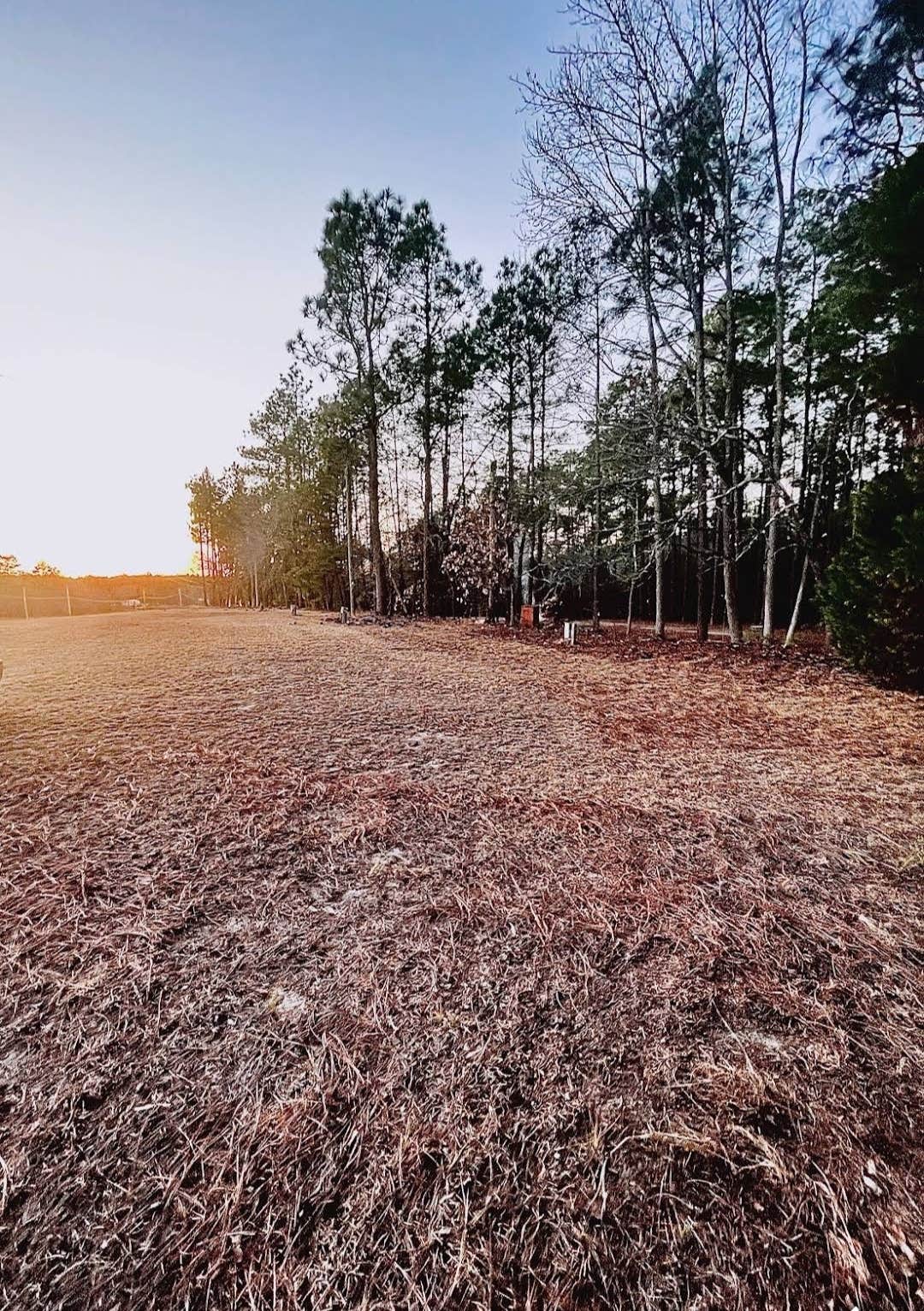 Camper-submitted photo at Racetrack Campground near Rockingham, NC