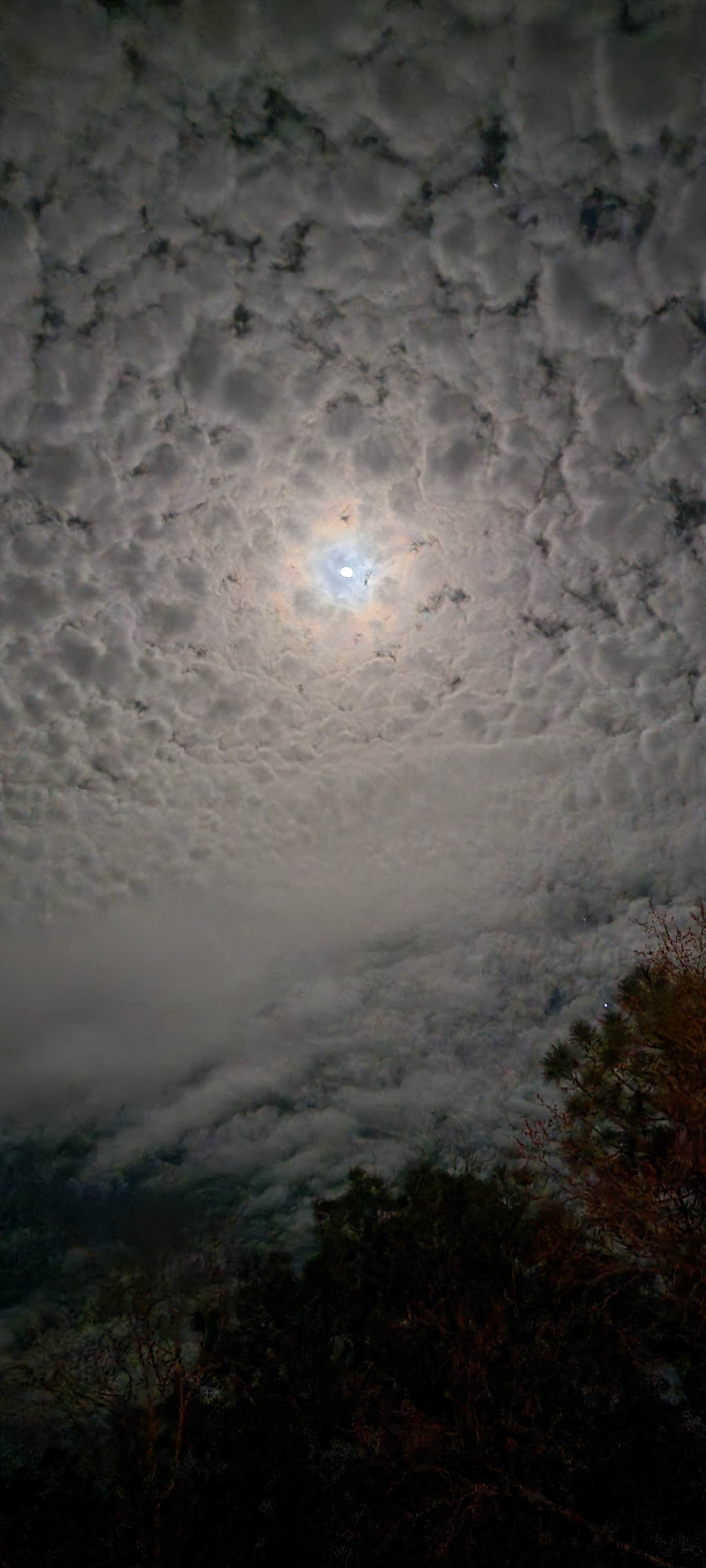 Camper-submitted photo at Racetrack Campground near Rockingham, NC