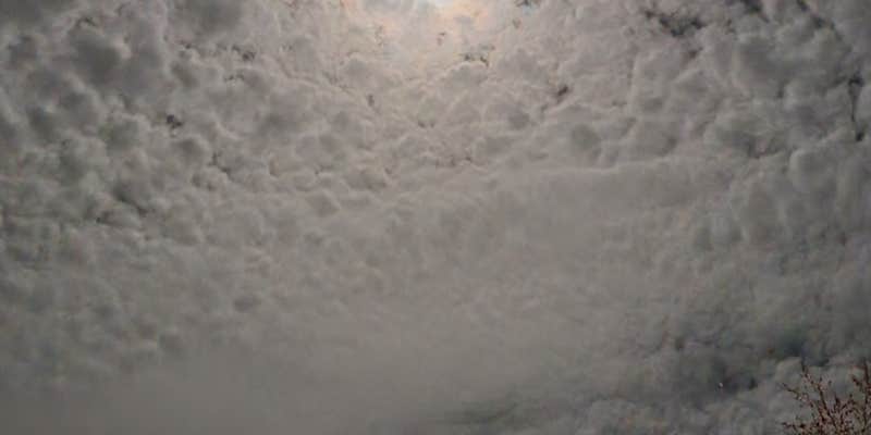 Camper submitted image from Racetrack Campground