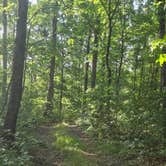 Review photo of Sugar Camp Lookout Tower Dispersed Area by Jessie H., July 3, 2026