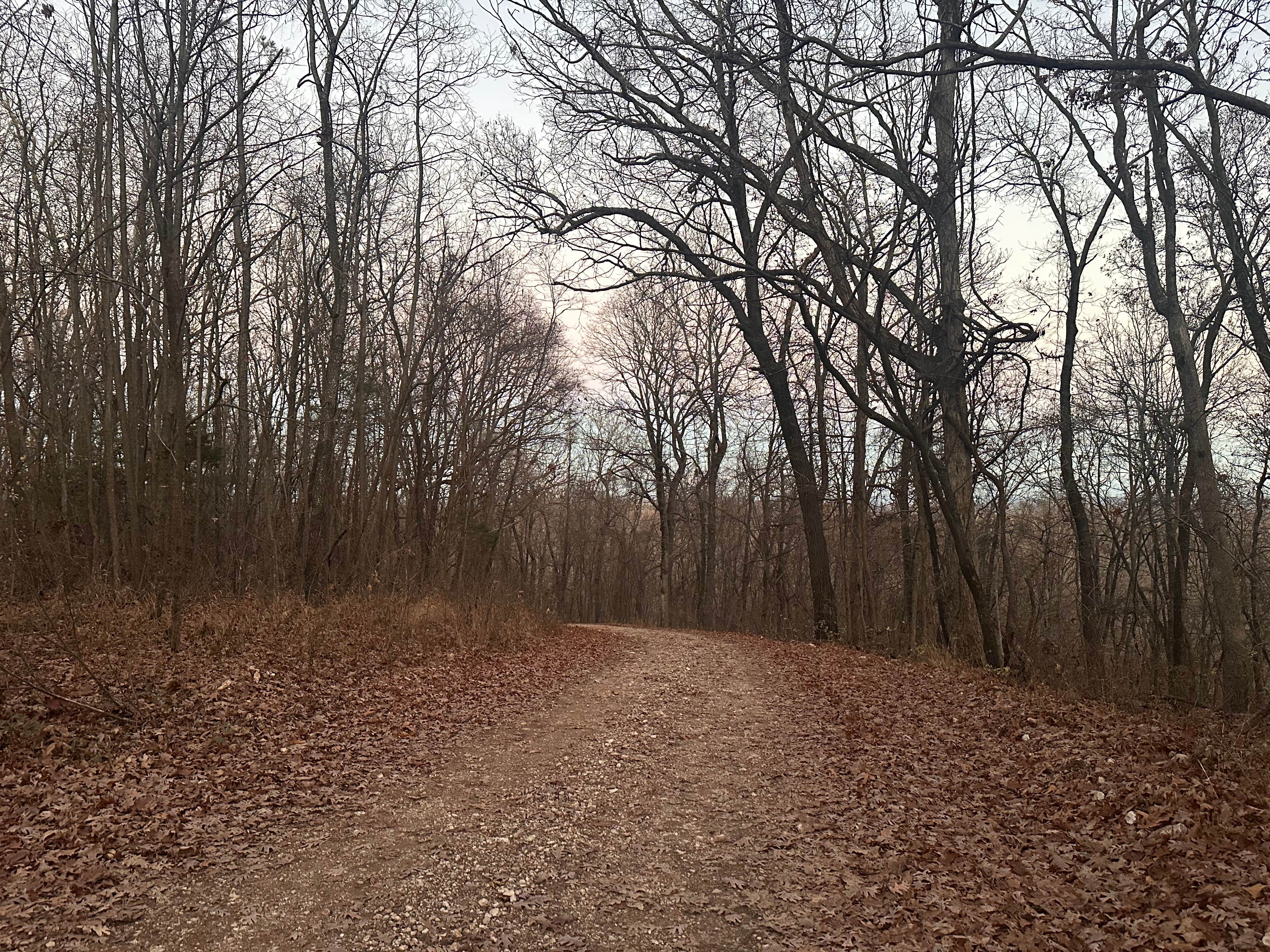 Camper-submitted photo at Sugar Camp Lookout Tower Dispersed Area near Fayetteville, AR