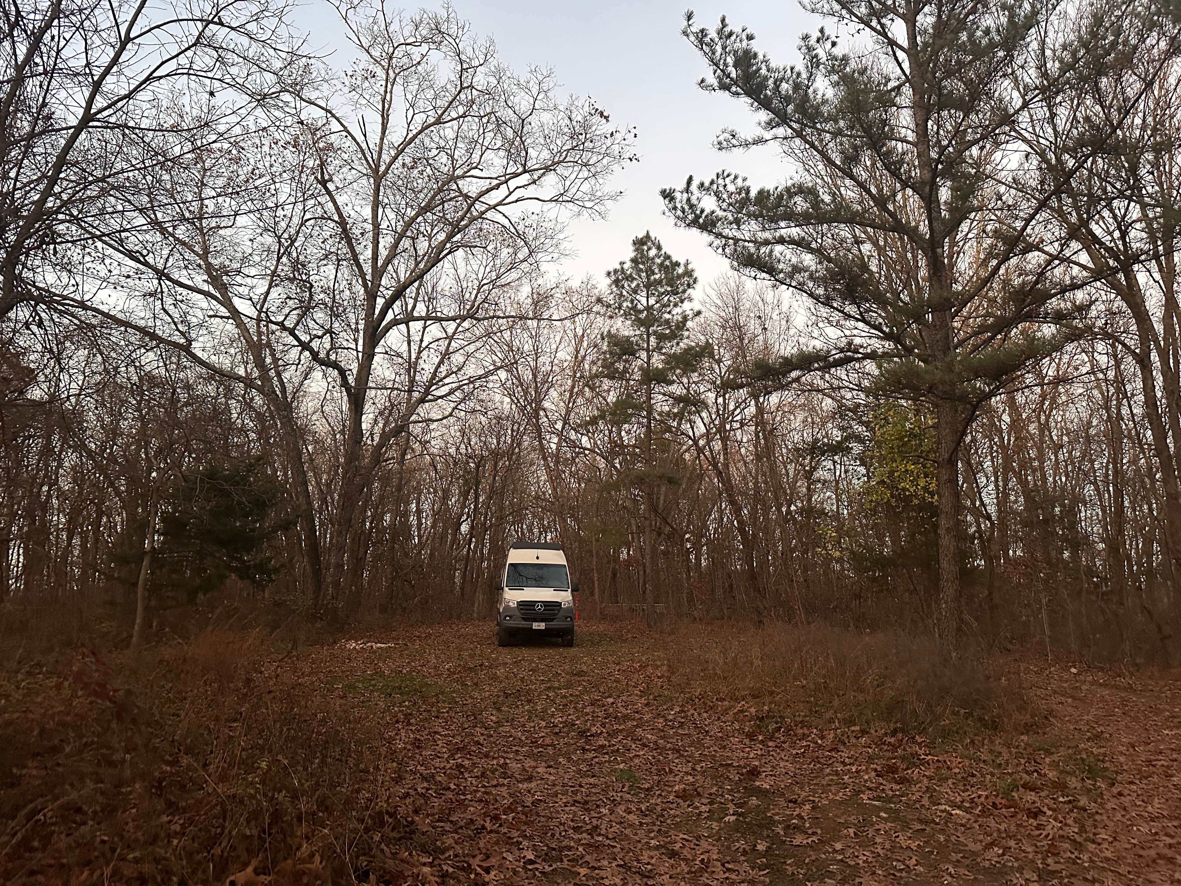 Camper submitted image from Sugar Camp Lookout Tower Dispersed Area - 4