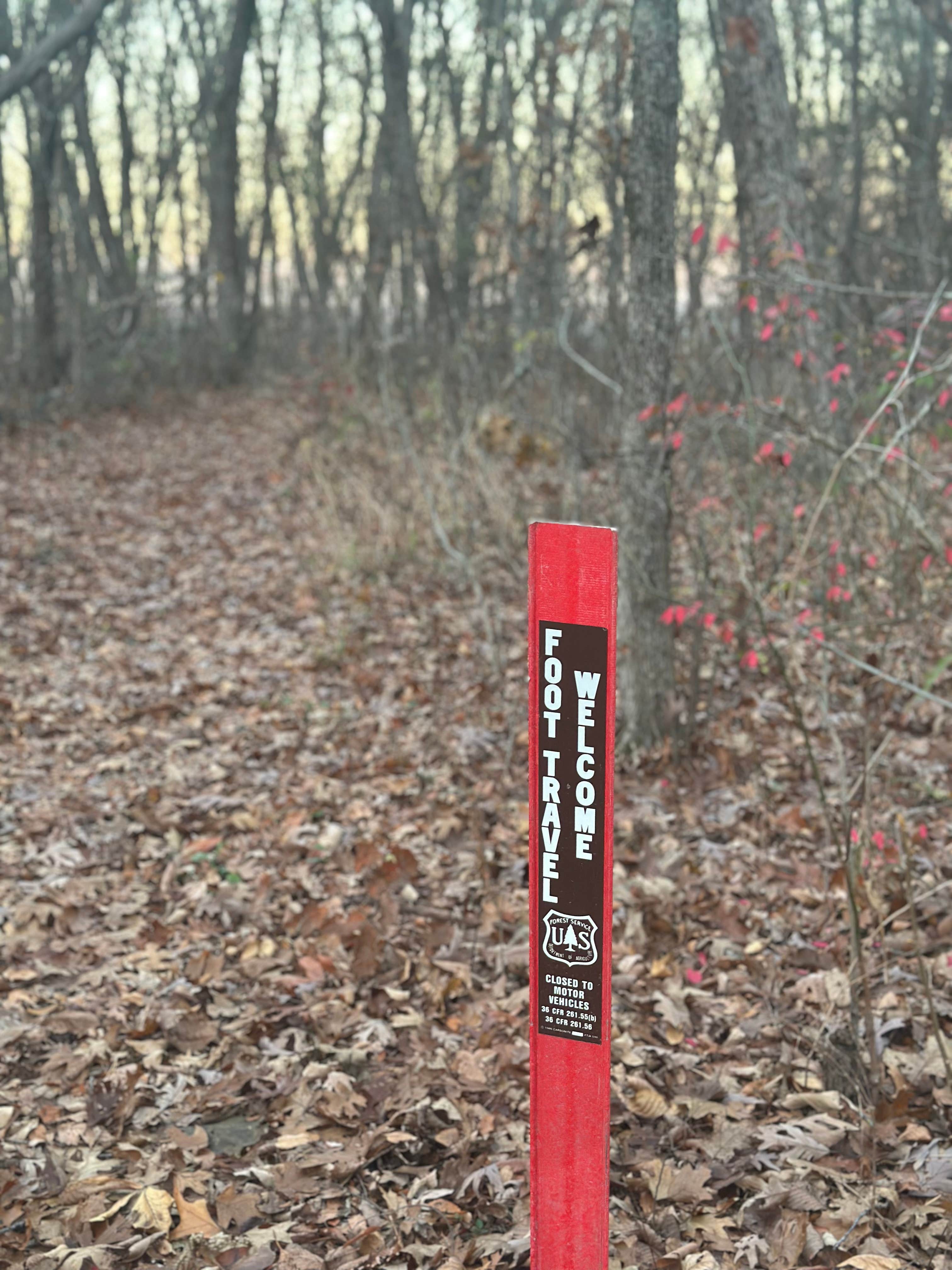 Camper-submitted photo at Sugar Camp Lookout Tower Dispersed Area near Fayetteville, AR