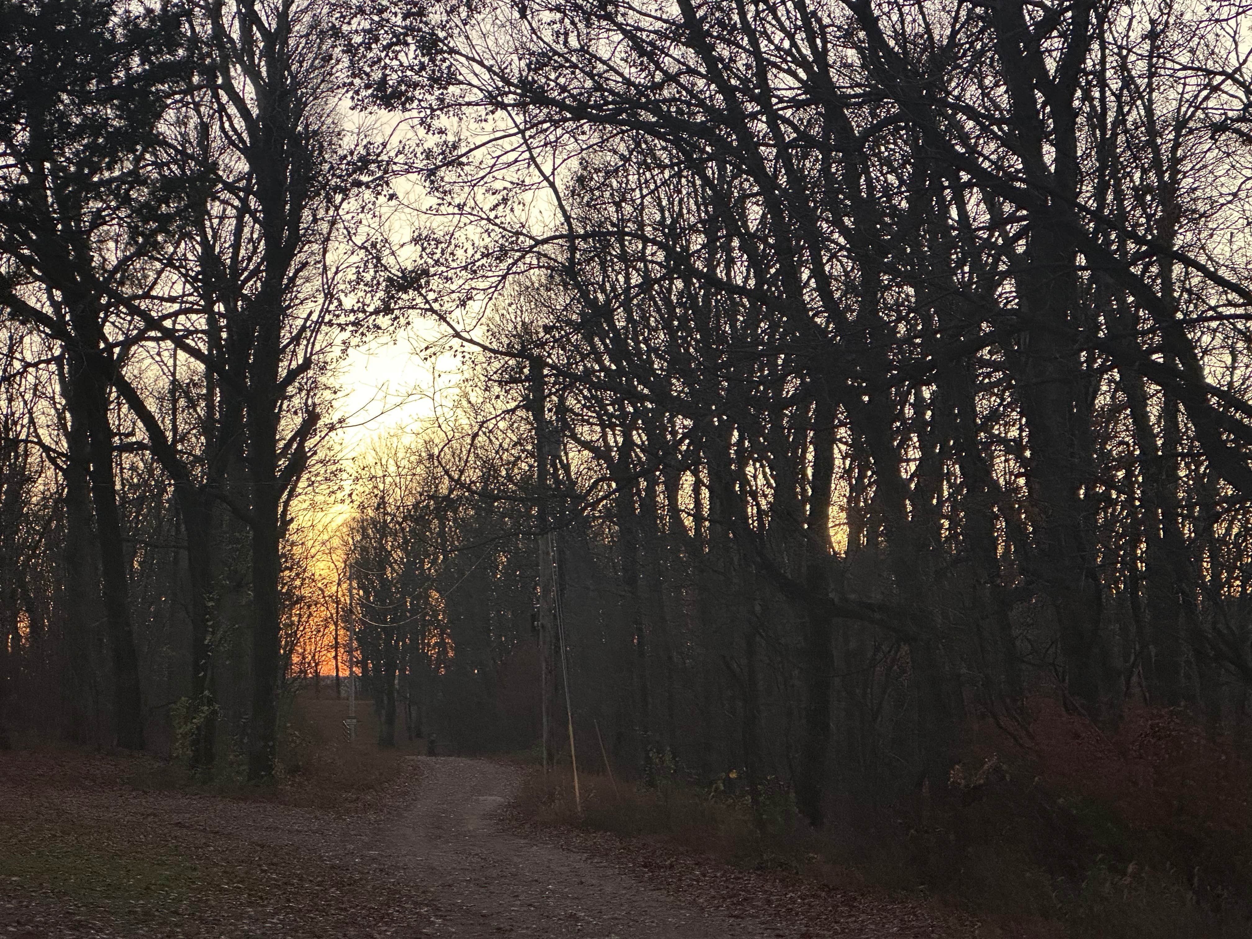 Mel M.'s photo of a dispersed camping area at Sugar Camp Lookout Tower Dispersed Area near Aurora, MO