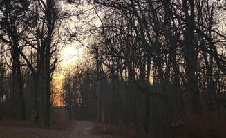 Mel M.'s photo of a dispersed camping area at Sugar Camp Lookout Tower Dispersed Area near Point Lookout, MO