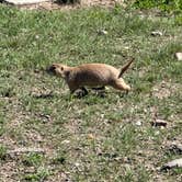 Review photo of Rafter J Bar Ranch by Bill  T., December 31, 2025