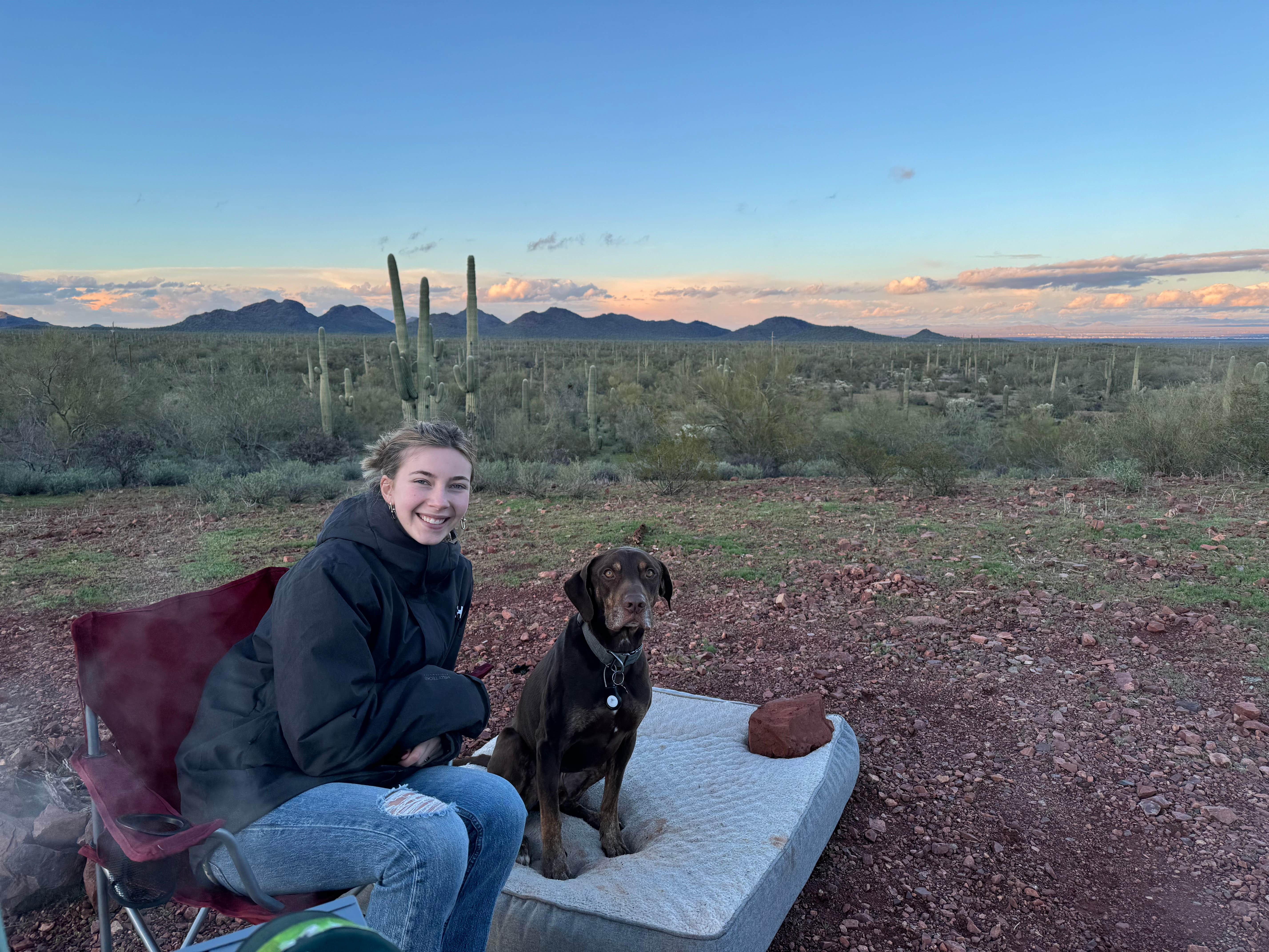 Camping near Cactus Forest Dispersed: Ragged Top Rd Dispersed, Marana, Arizona