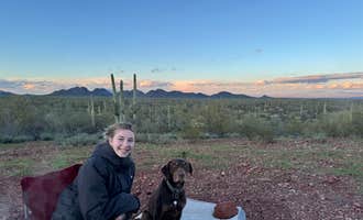 Camping near Cactus Forest Dispersed - High Clearance: Ragged Top Rd Dispersed, Marana, Arizona