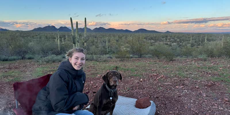 Camper submitted image from Ragged Top Rd Dispersed