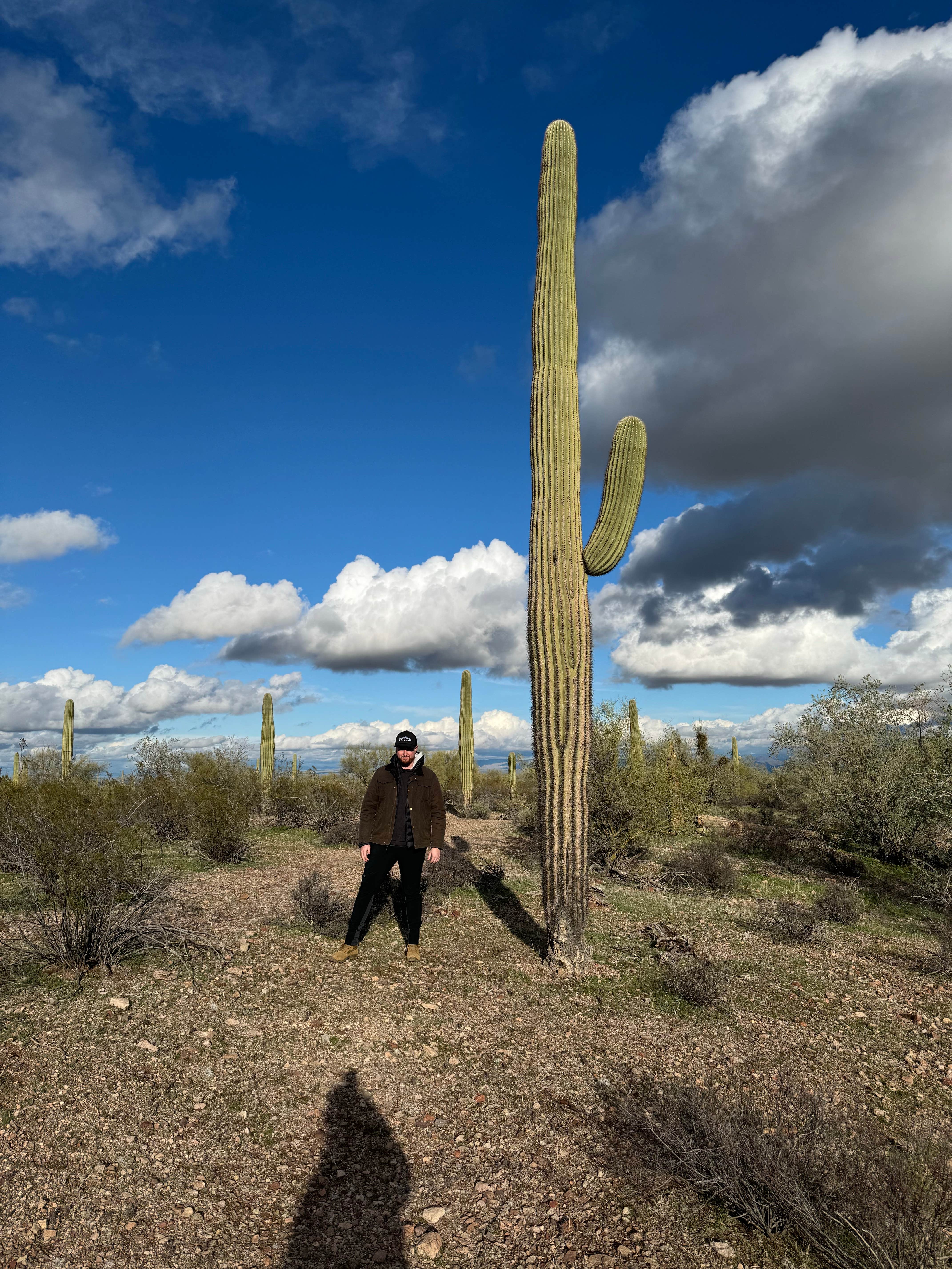 Camper-submitted photo at Ragged Top Rd Dispersed near Eloy, AZ