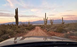 Fa B.'s photo of a dispersed camping area at Ragged Top Rd Dispersed near Arizona City, AZ