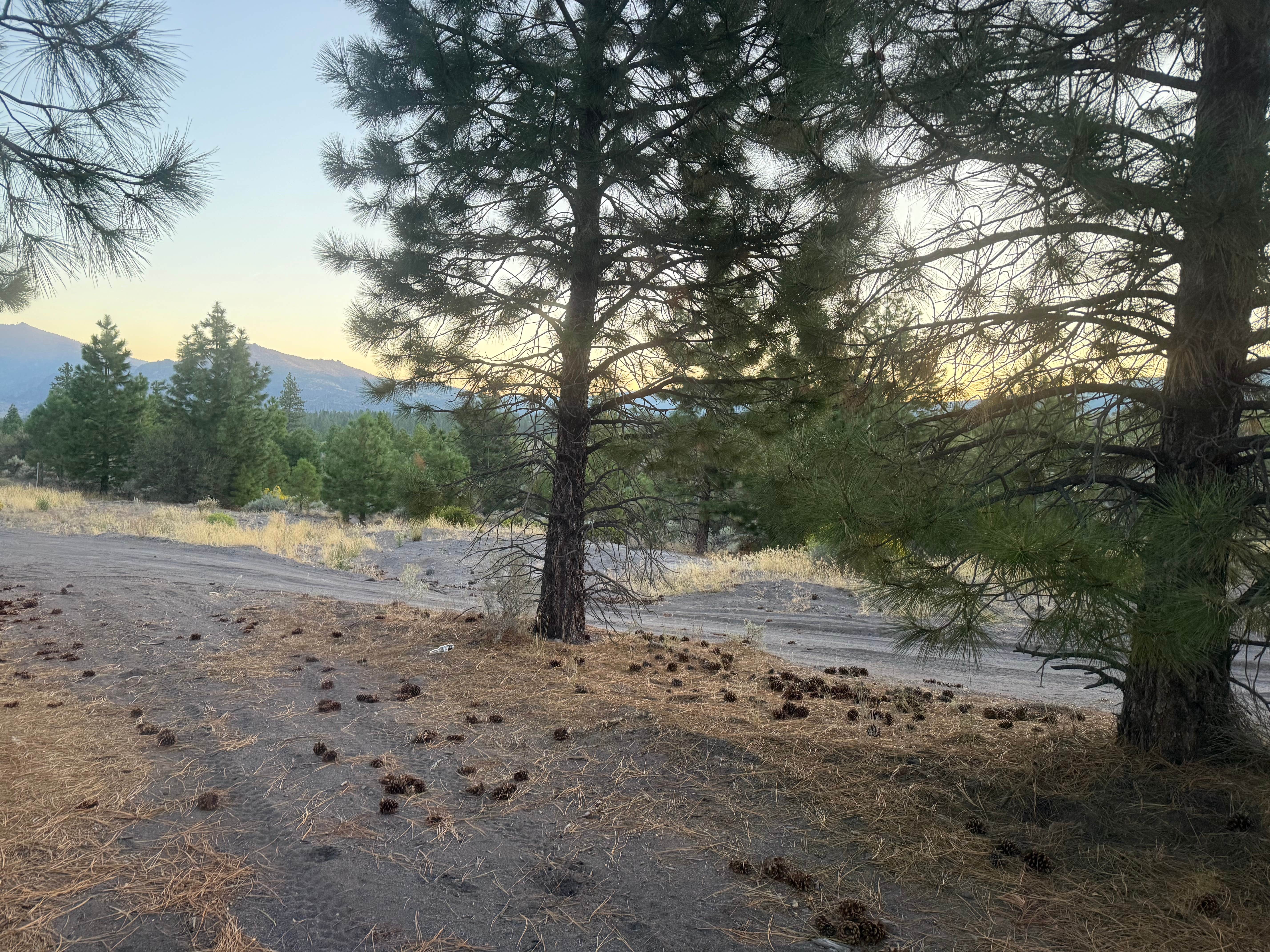 Camper-submitted photo at Rail Line Dispersed Site near Greenview, CA