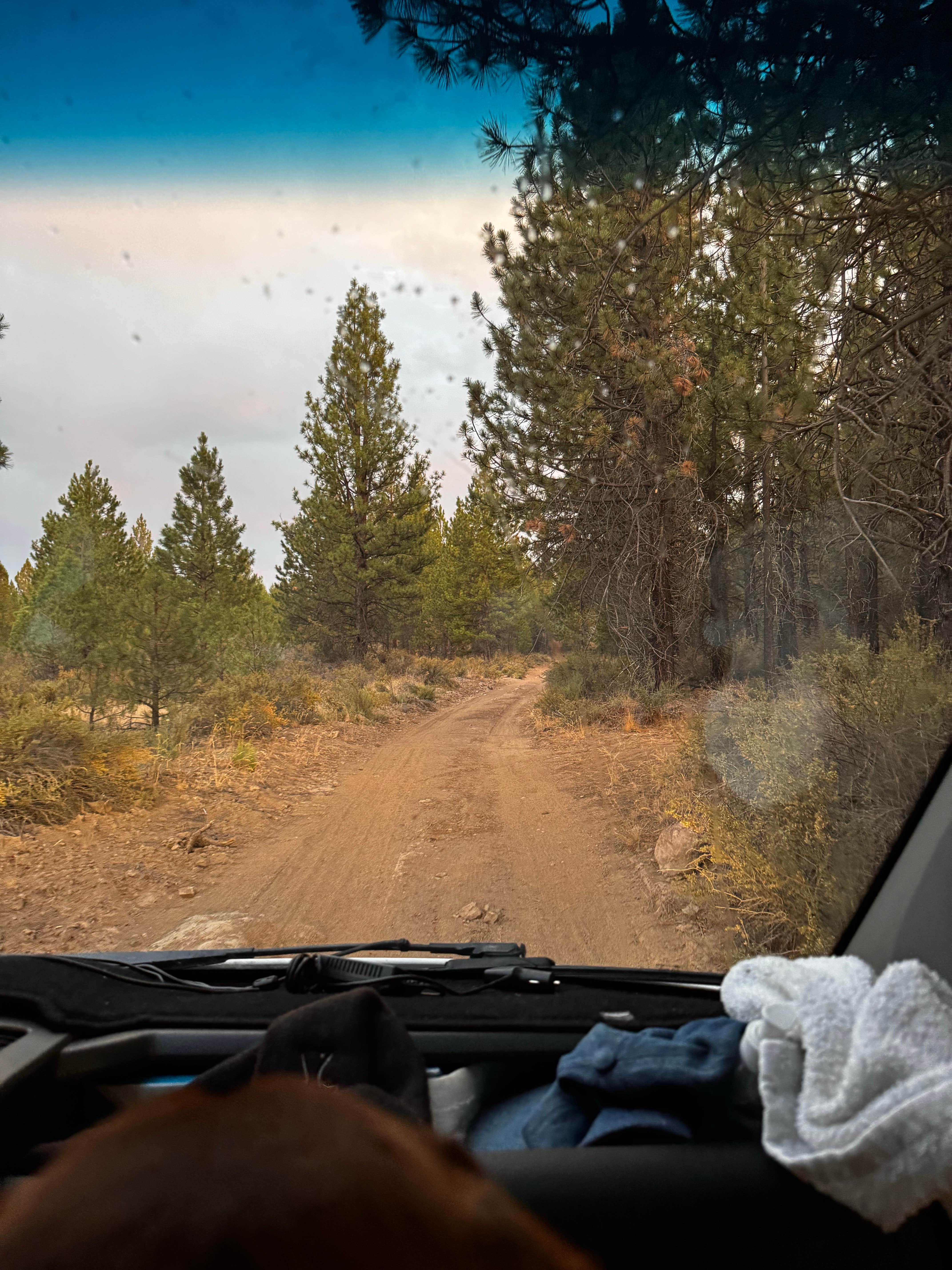 Camper-submitted photo at Rail Line Dispersed Site near Greenview, CA