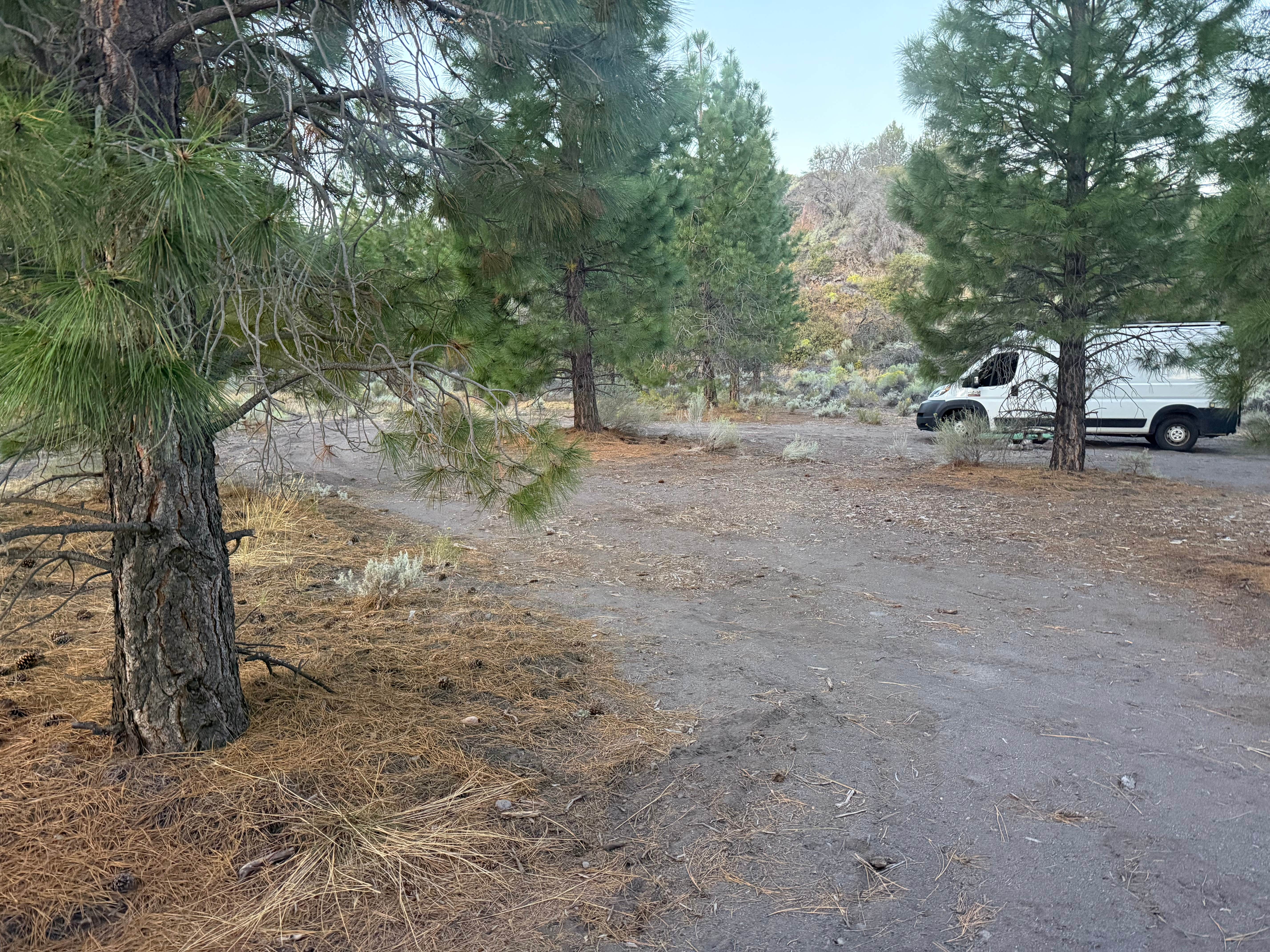 Camper-submitted photo at Rail Line Dispersed Site near Macdoel, CA
