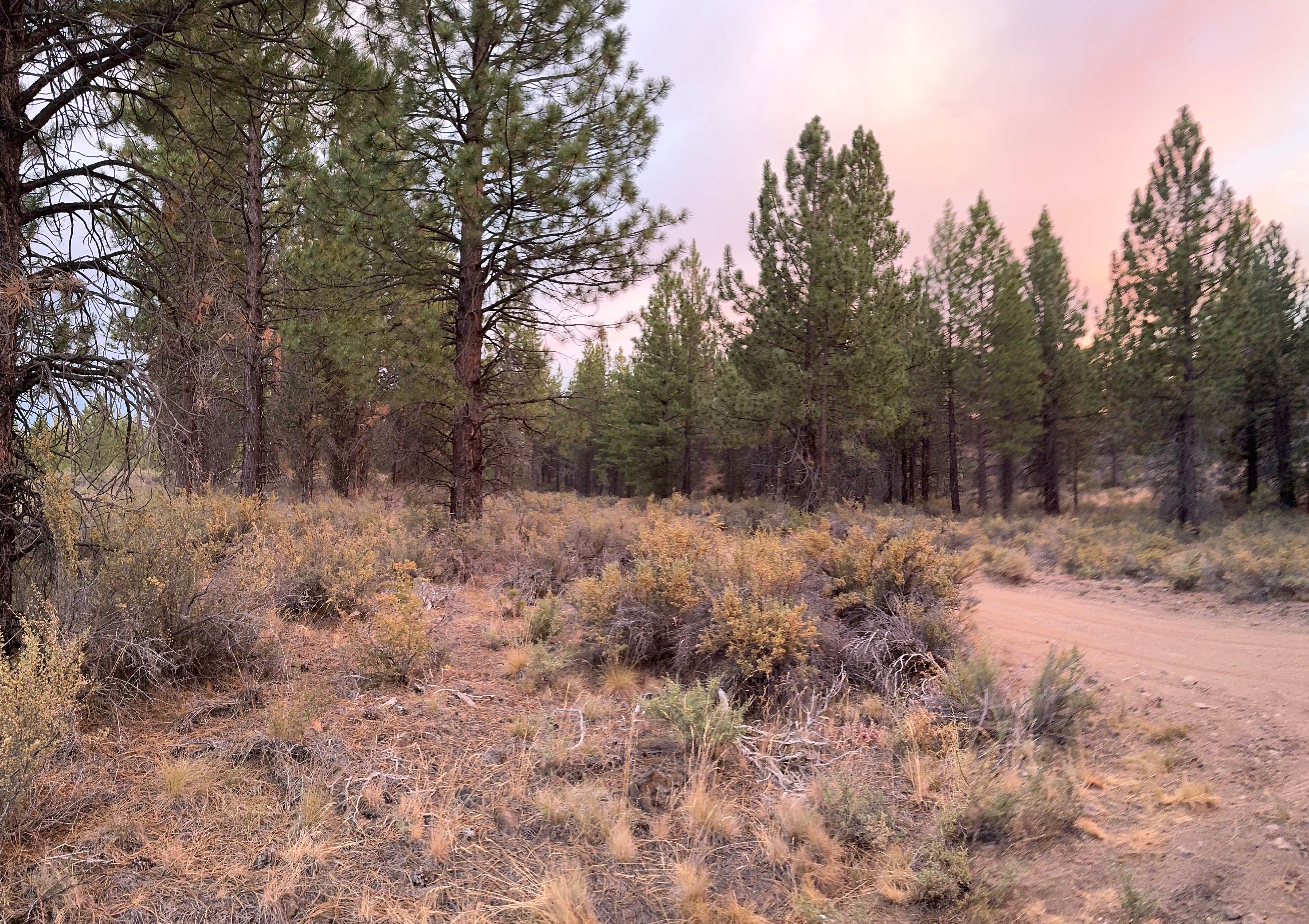 Camper-submitted photo at Rail Line Dispersed Site near Greenview, CA
