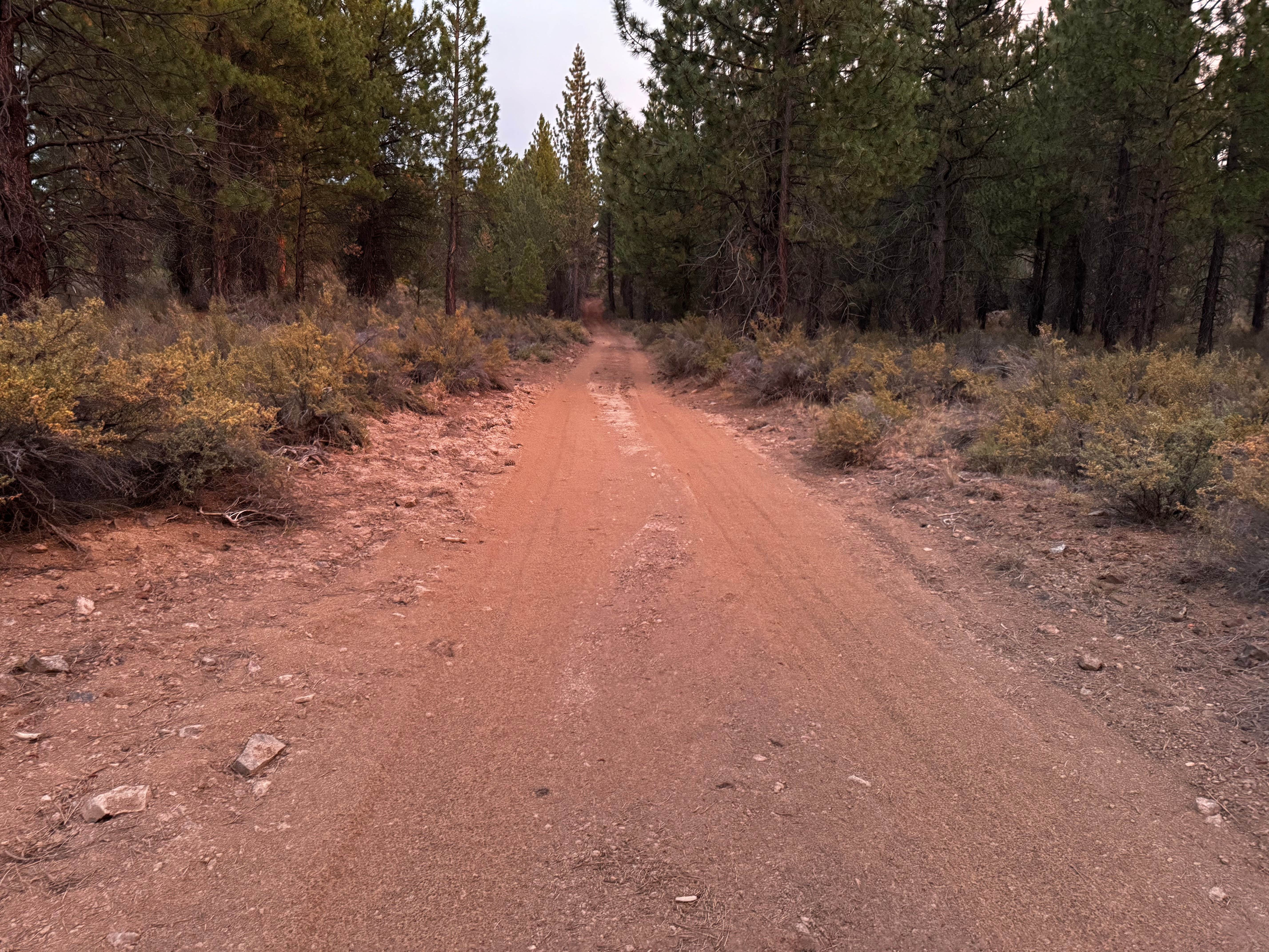 Rail Line Dispersed Site