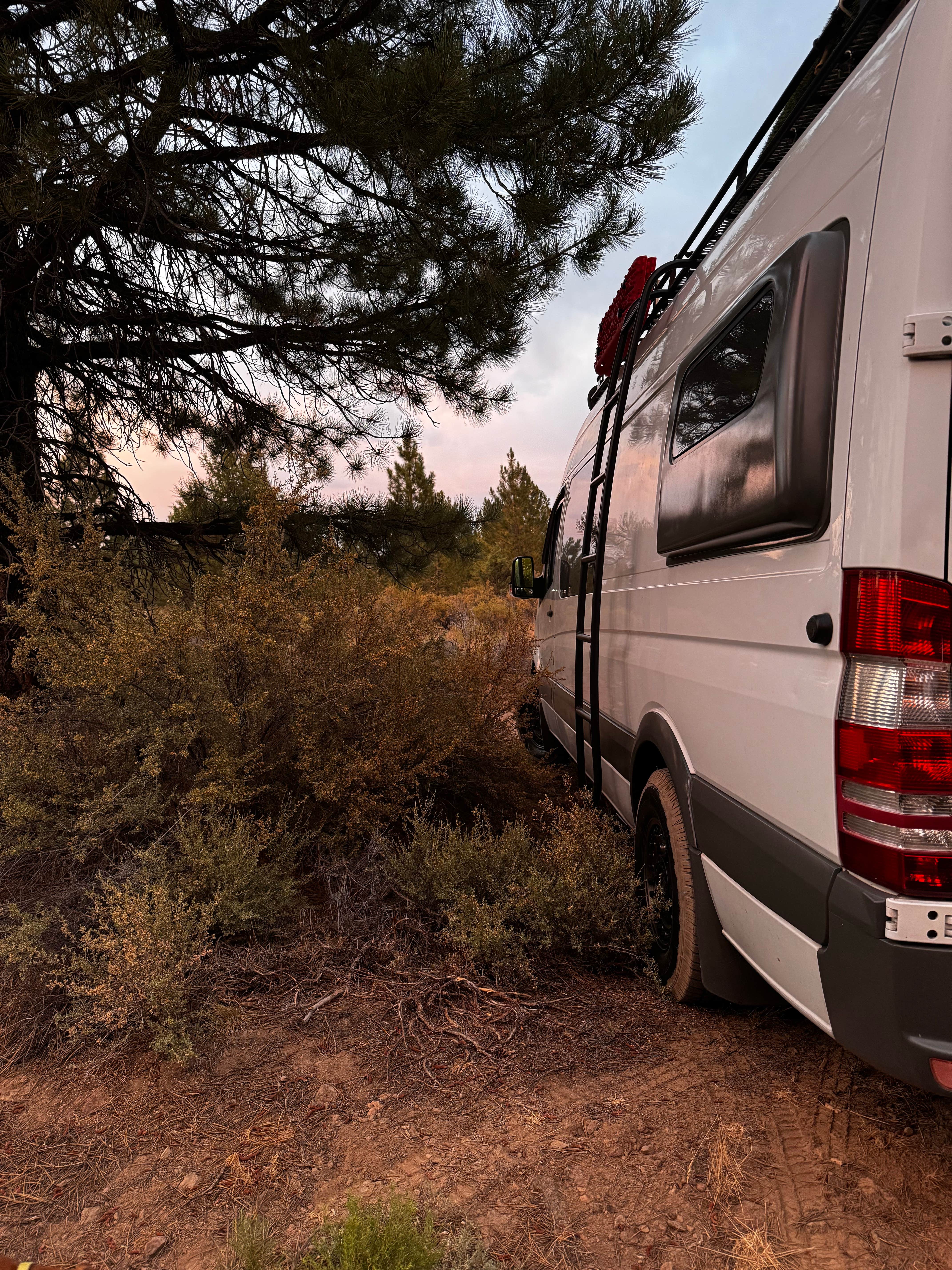 Rail Line Dispersed Site