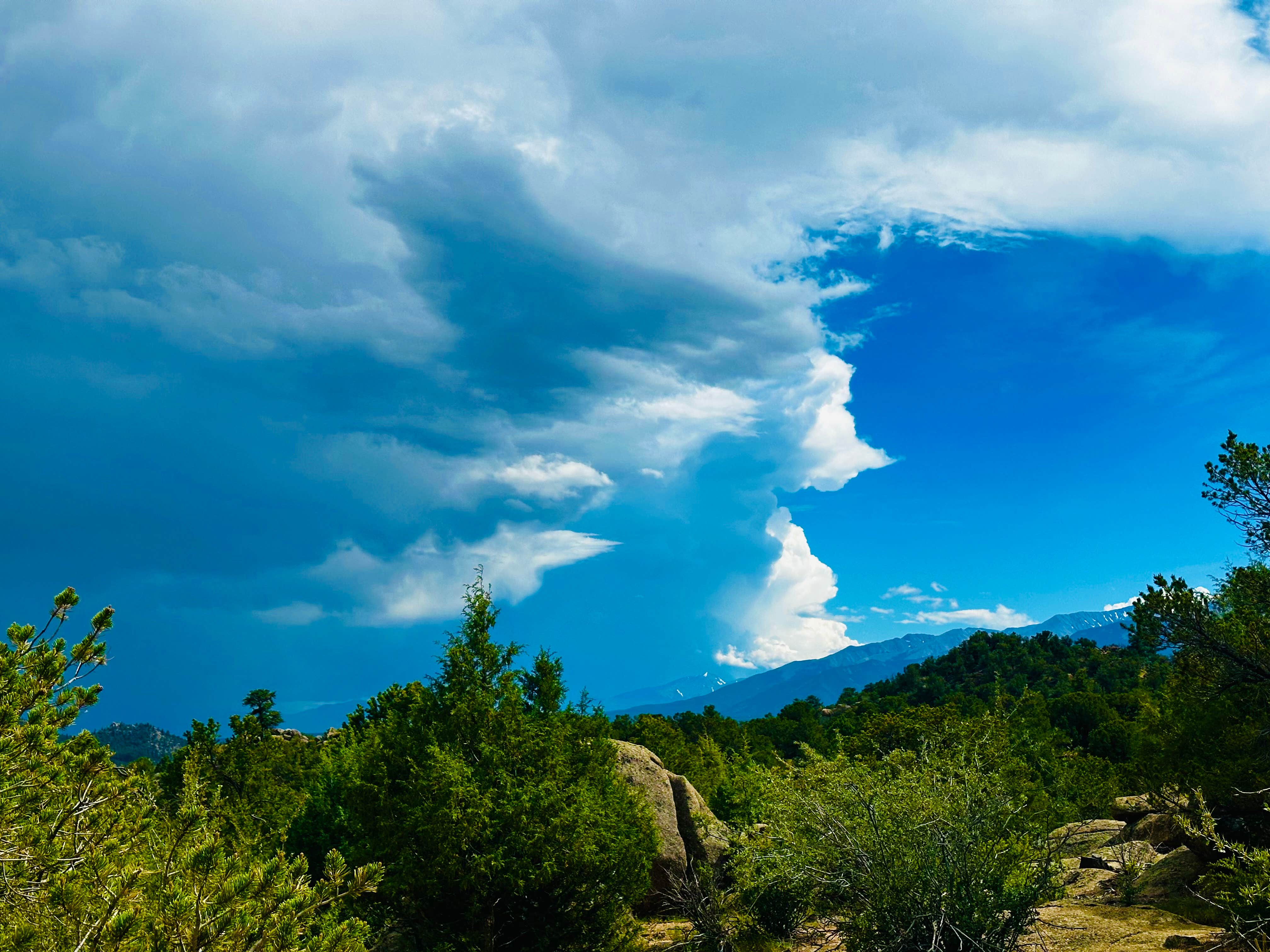 Camper-submitted photo at Railroad Bridge near Nathrop, CO
