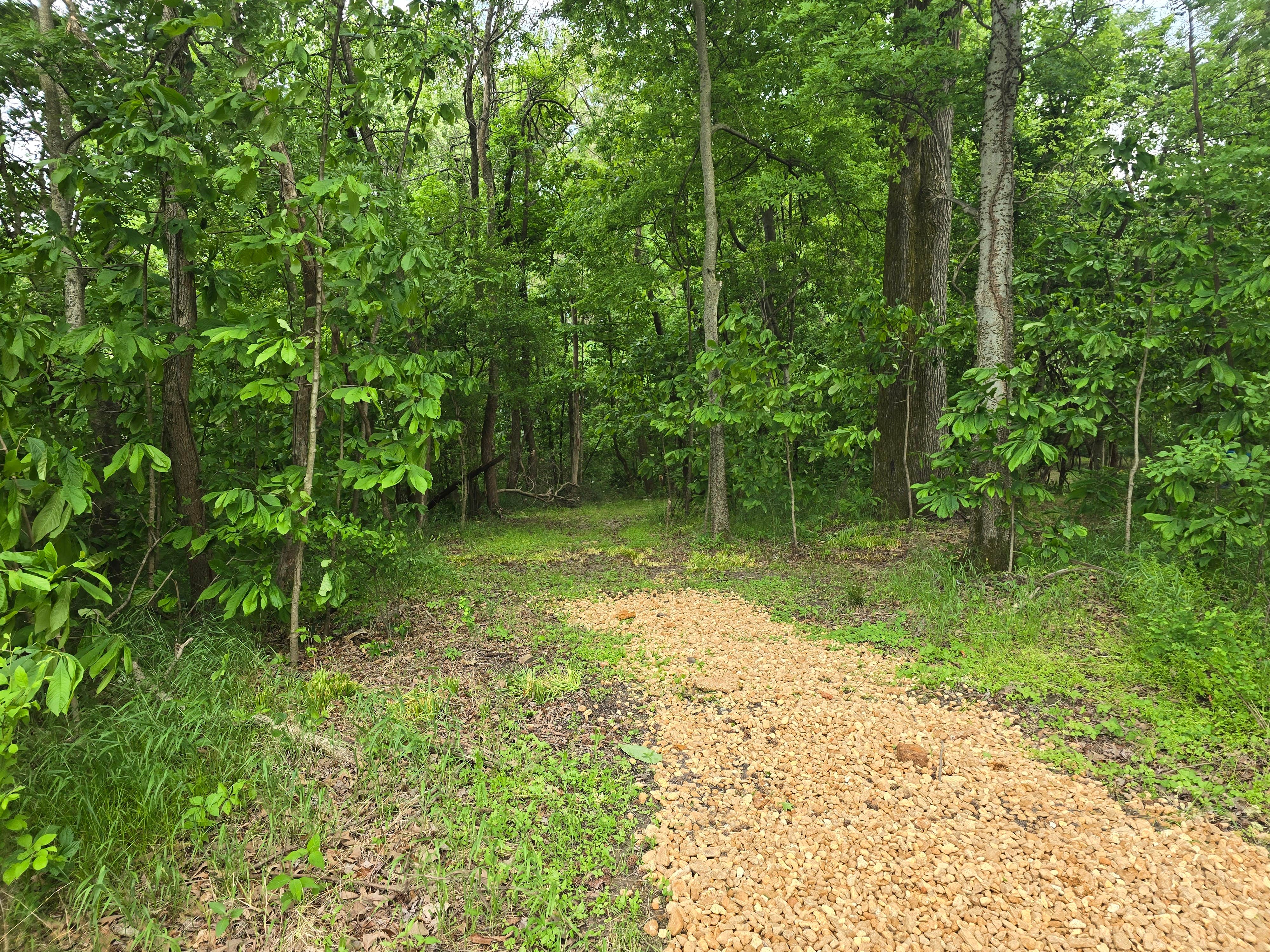 Camper-submitted photo at Railroader Rv Park near Troy, TN