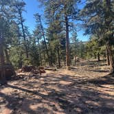 Review photo of Rainbow Falls - Dispersed Camping by Conner , January 3, 2026