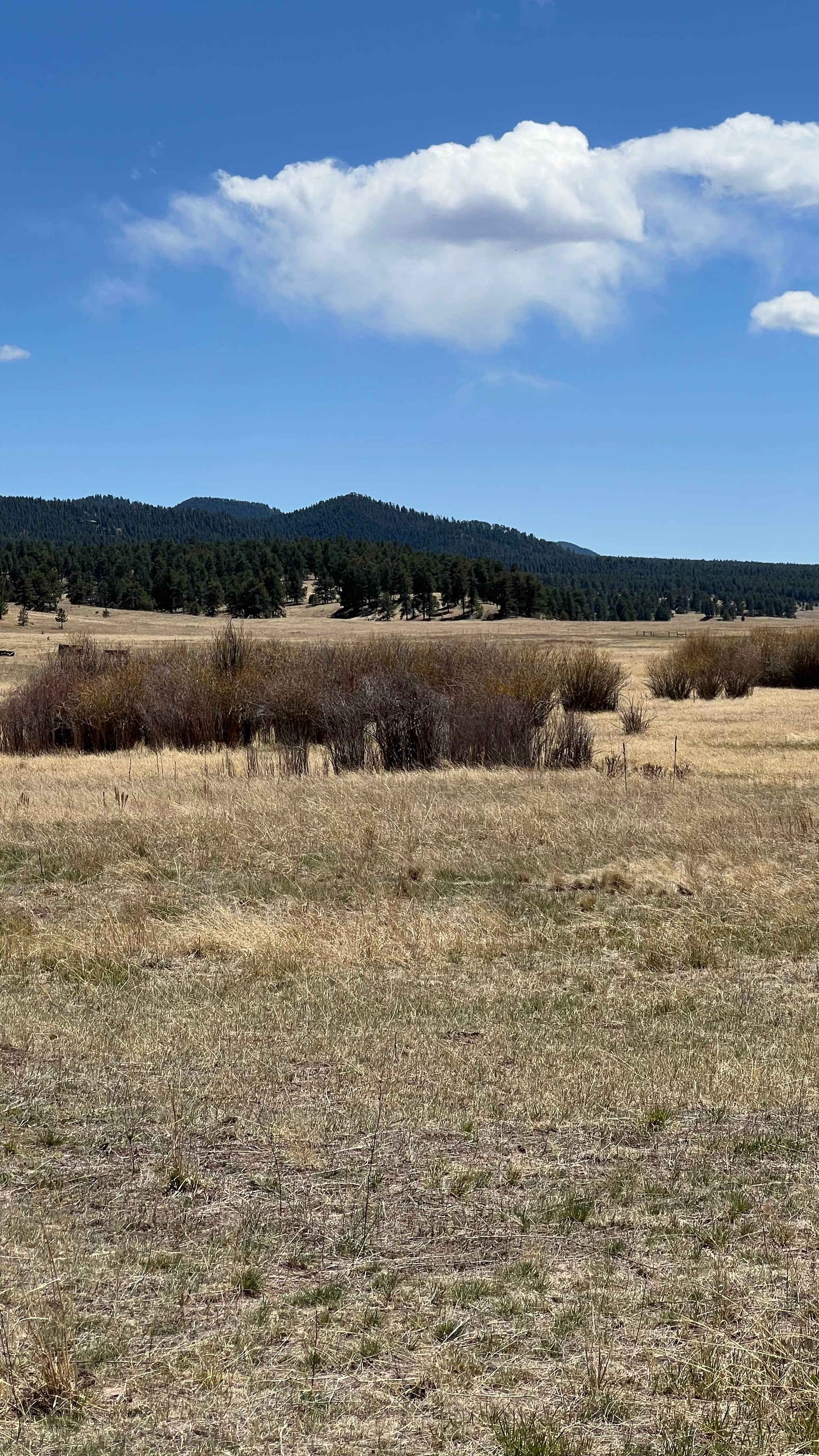 Camper-submitted photo at Rainbow Falls - Dispersed Camping near Green Mountain Falls, CO