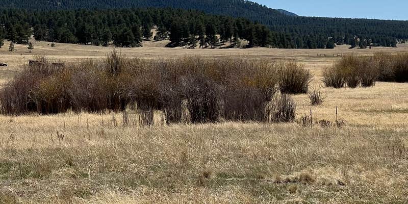 Camper submitted image from Rainbow Falls - Dispersed Camping