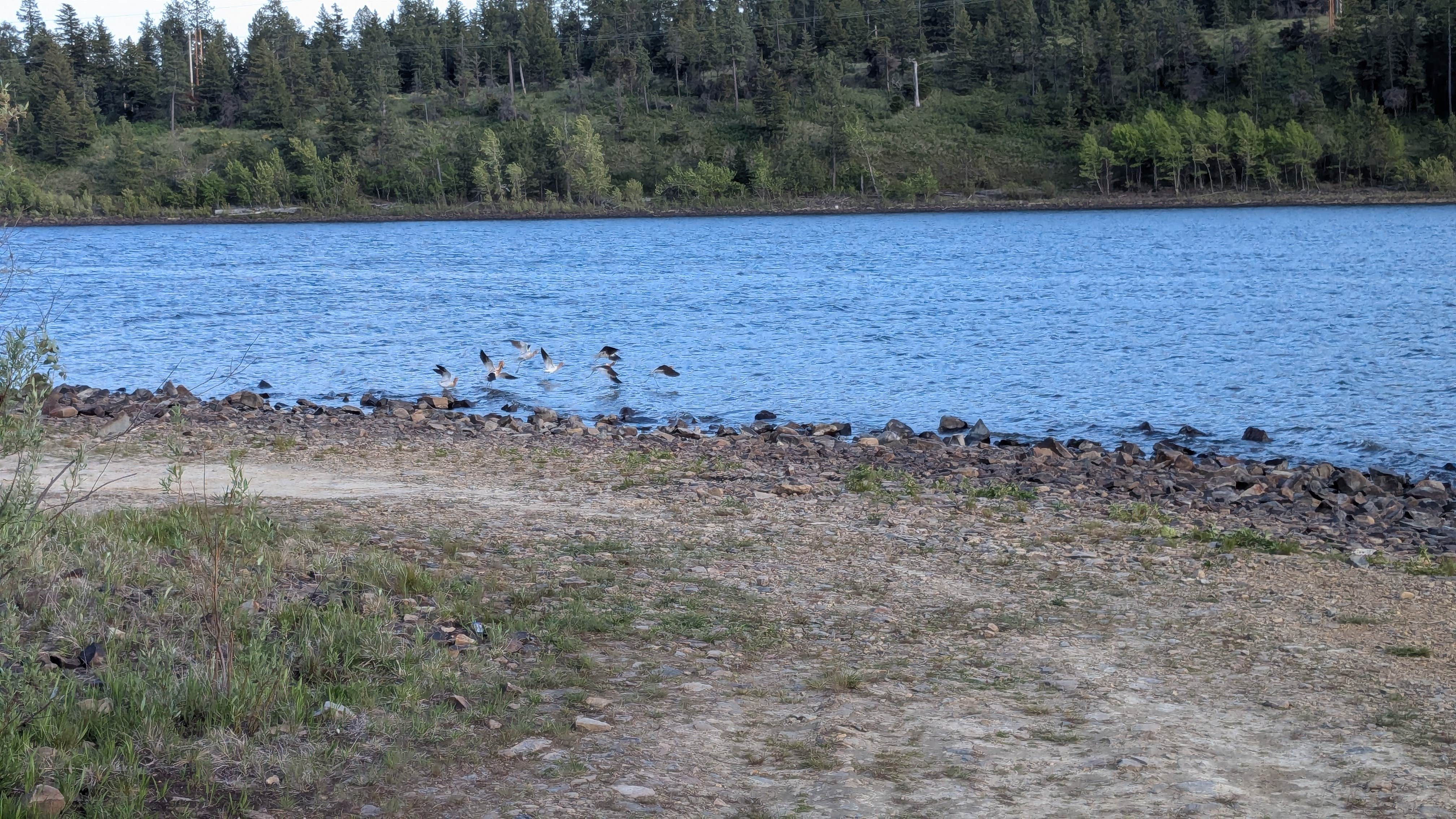 Camper submitted image from rainbow lake Montana State campground - 3