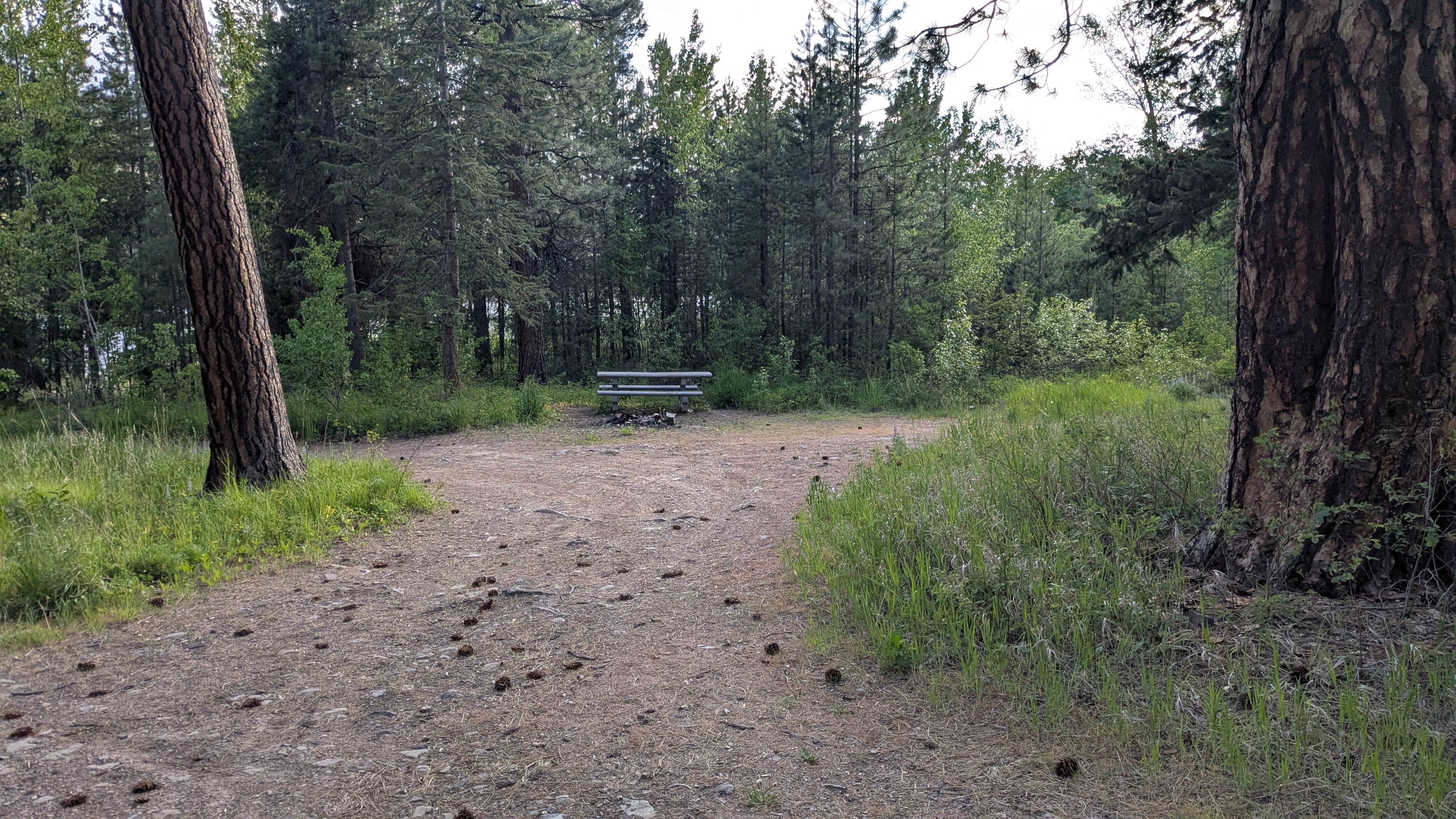 Camper submitted image from rainbow lake Montana State campground - 2