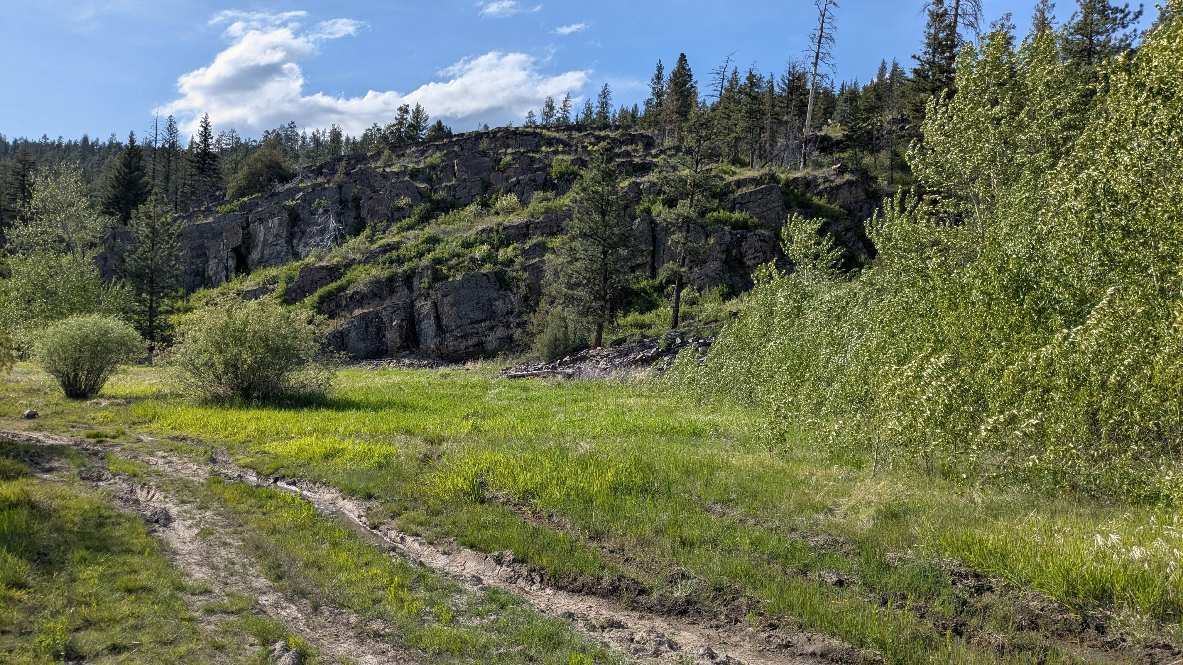Camper-submitted photo at rainbow lake Montana State campground near Polson, MT