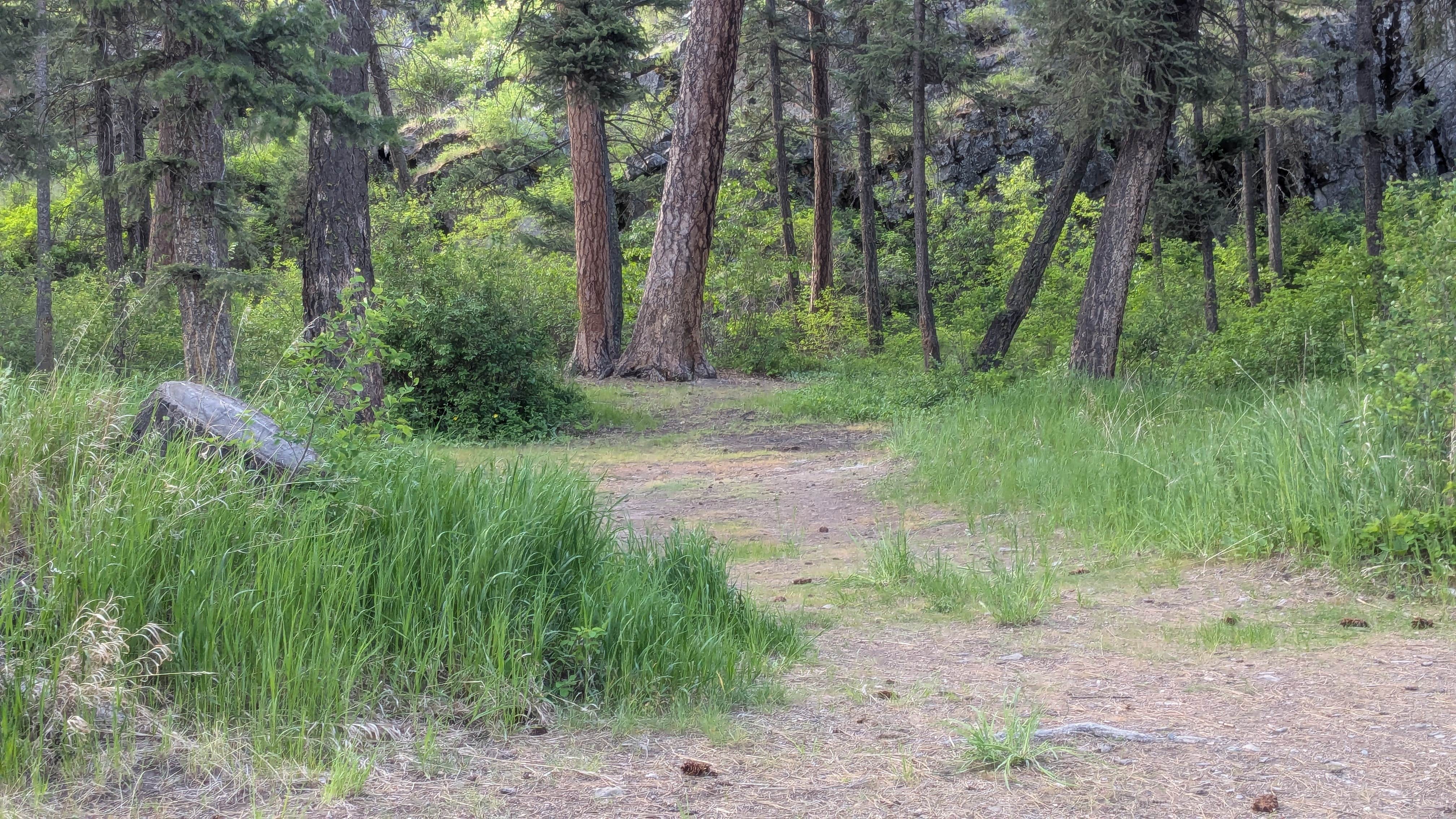 Camper submitted image from rainbow lake Montana State campground - 4
