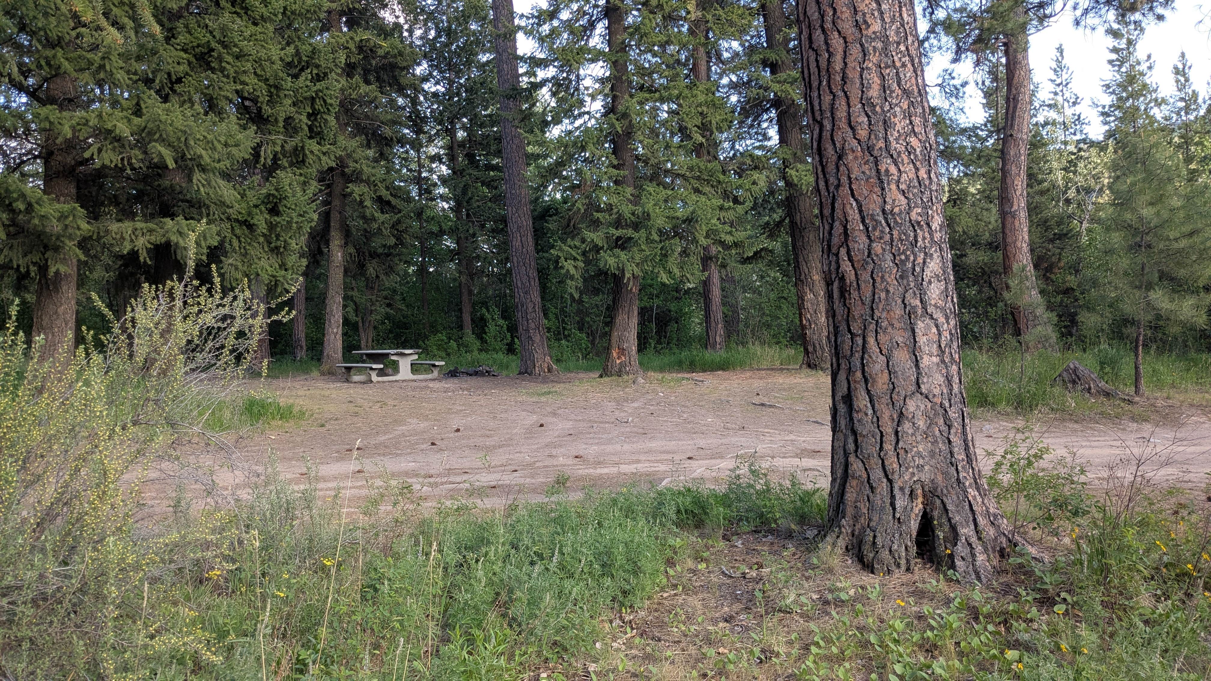Camper-submitted photo at rainbow lake Montana State campground near Polson, MT