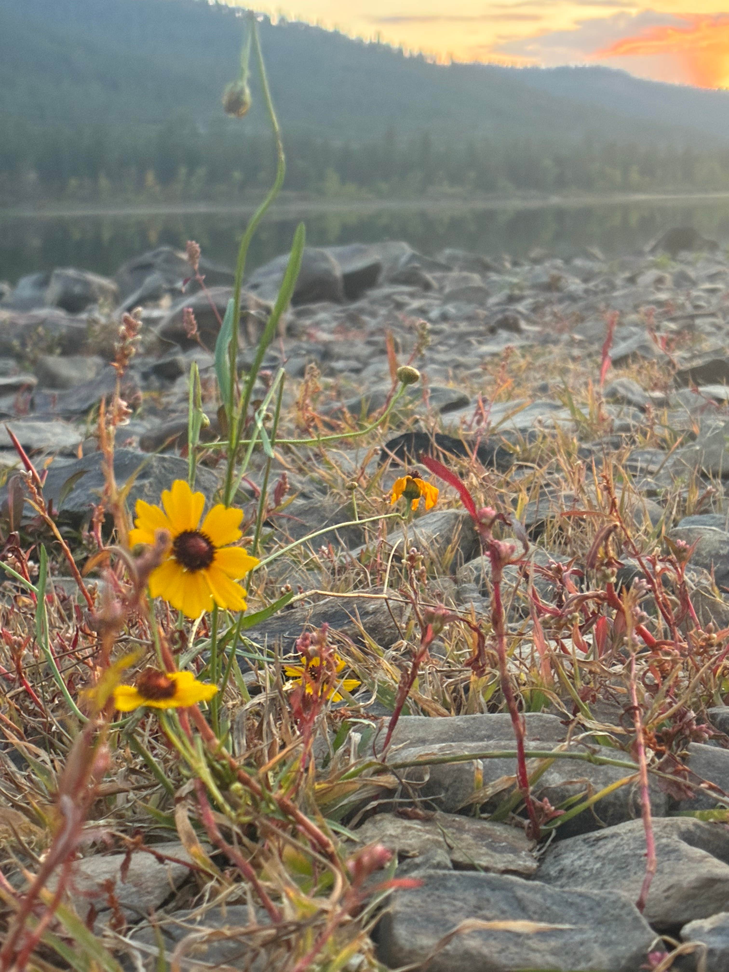 Camper-submitted photo at rainbow lake State Park campground near Plains, MT