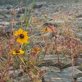 Review photo of rainbow lake State Park campground by traveller 1., September 20, 2026