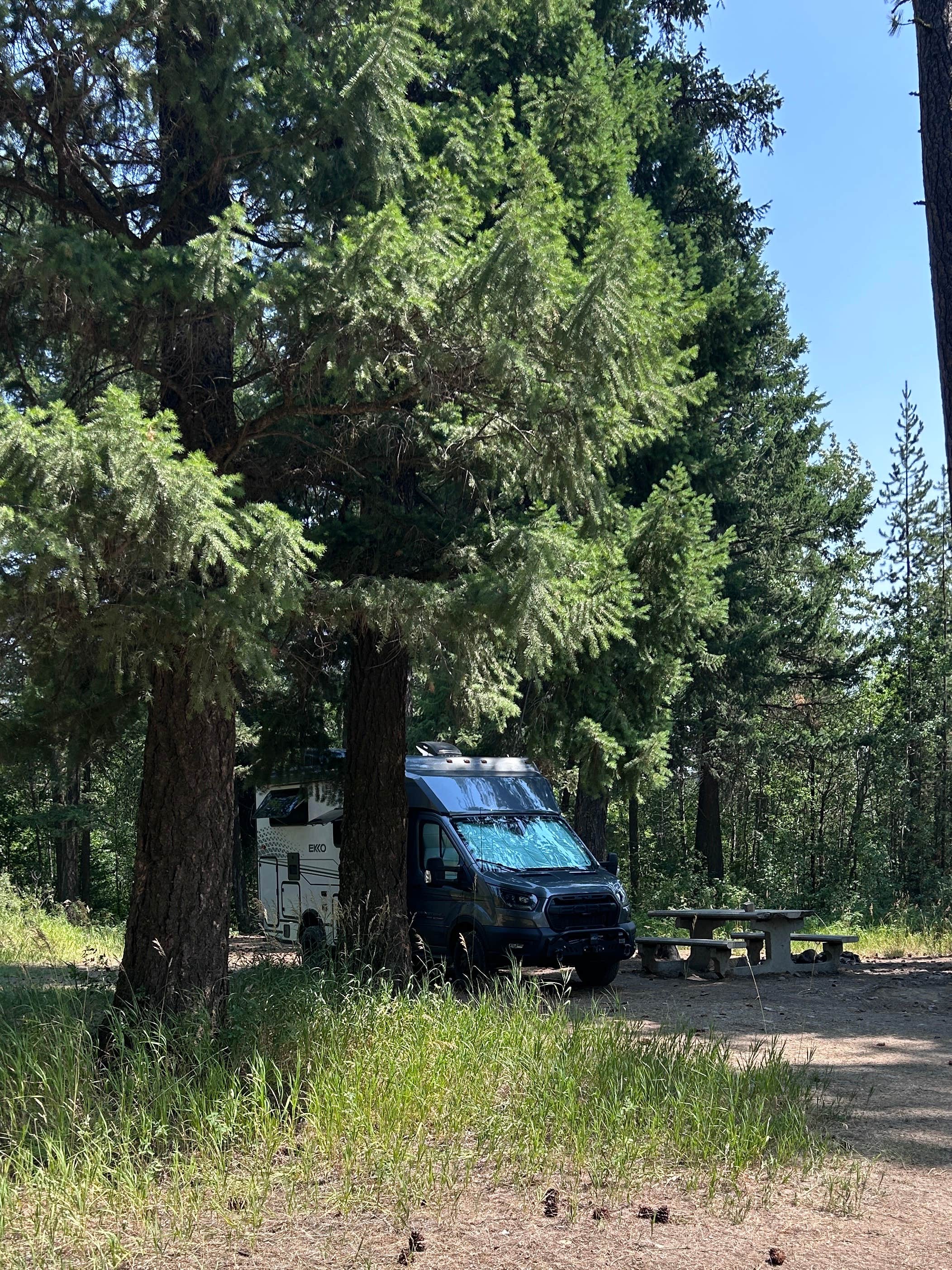 Camper-submitted photo at rainbow lake State Park campground near Polson, MT