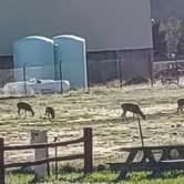 Review photo of Rainbow Lodge rv park by Rodney G., May 16, 2025