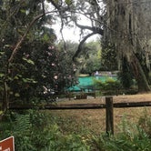 Review photo of Rainbow Springs State Park Campground by Lexi W., February 8, 2024