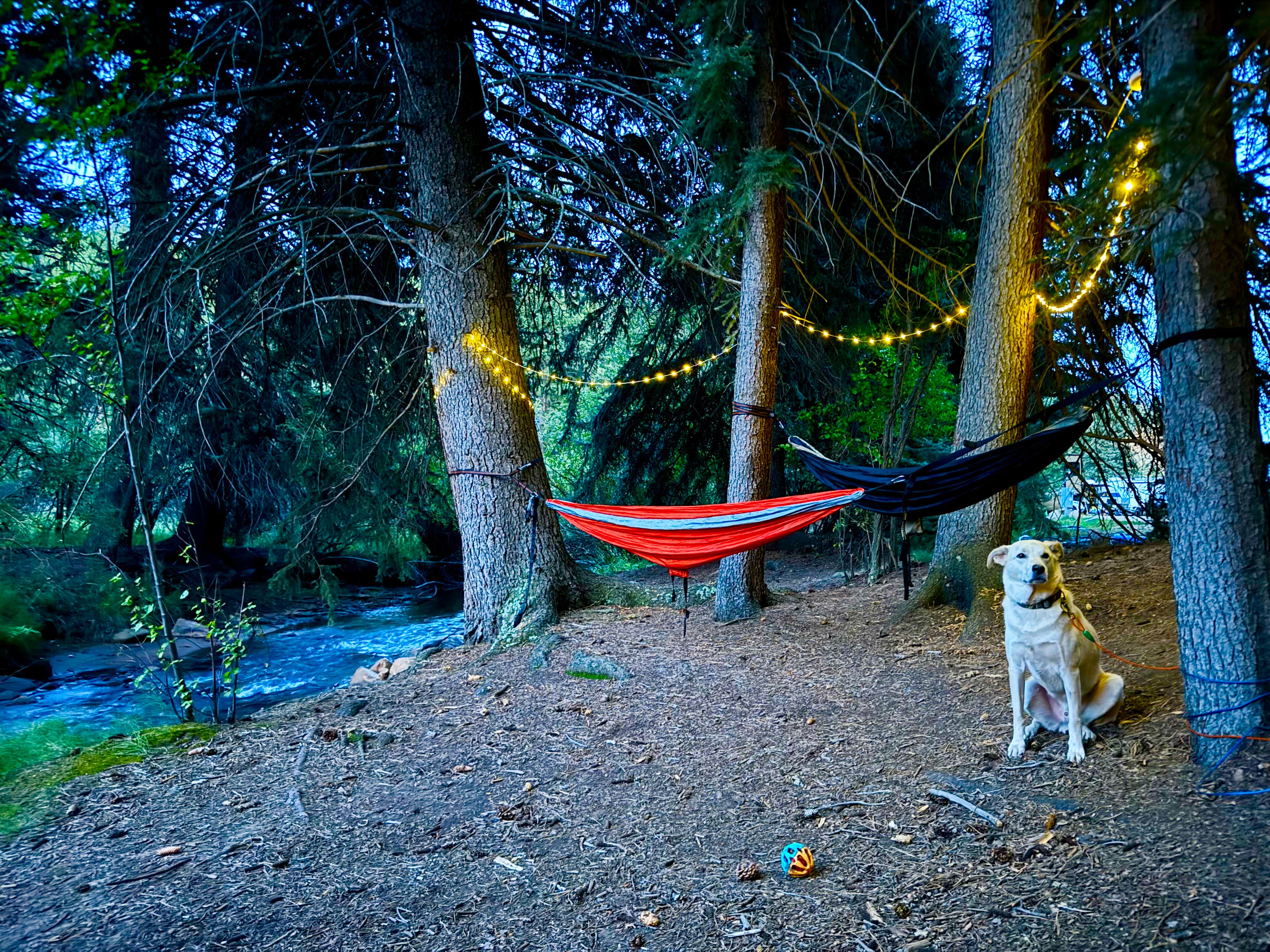 Paulina B.'s photo of camping with pets at Rainbow Trout Ranch and Campground near Morrison, CO